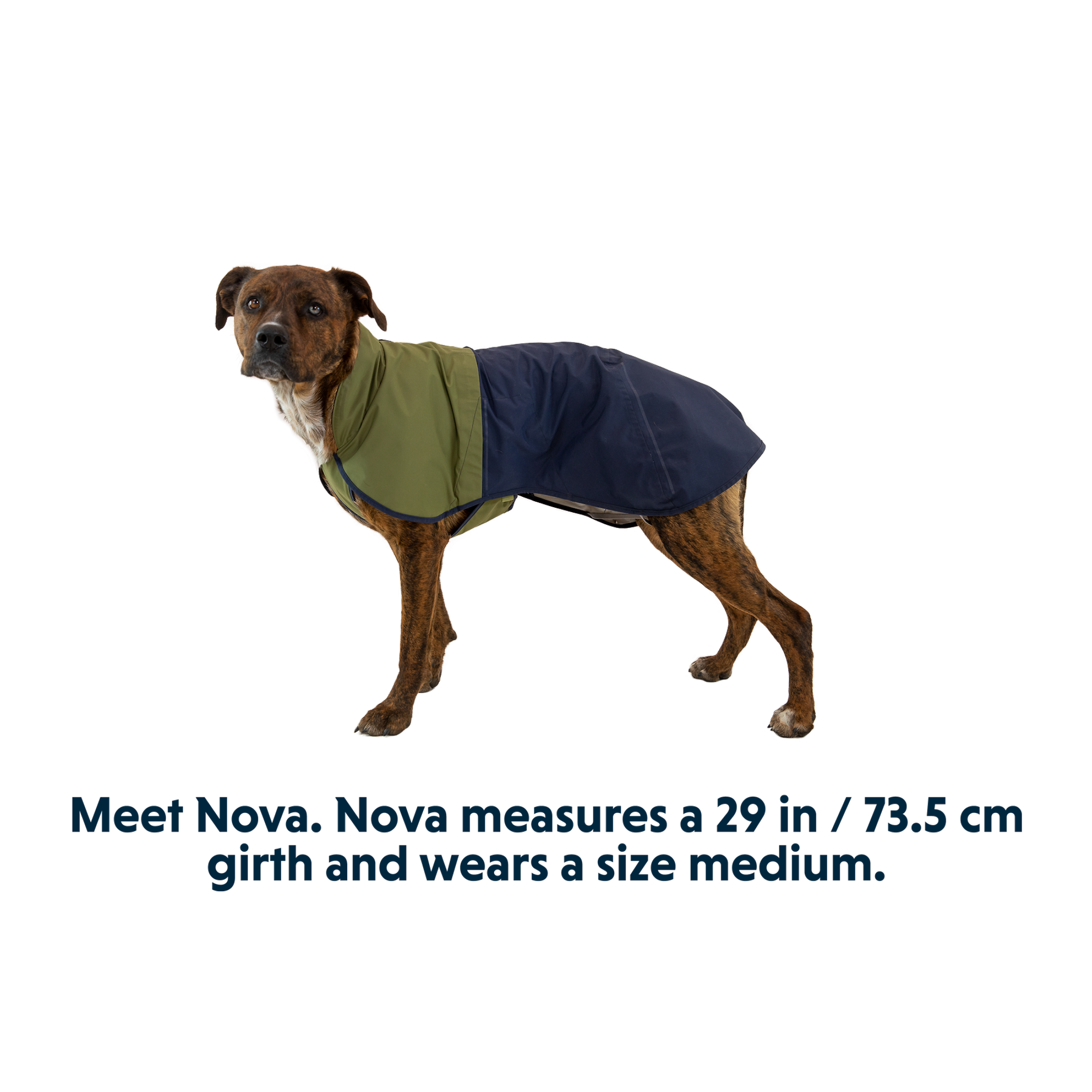 Product image 11 of 18 of RUFFWEAR Sun Shower Dog Raincoat - Midnight Blue