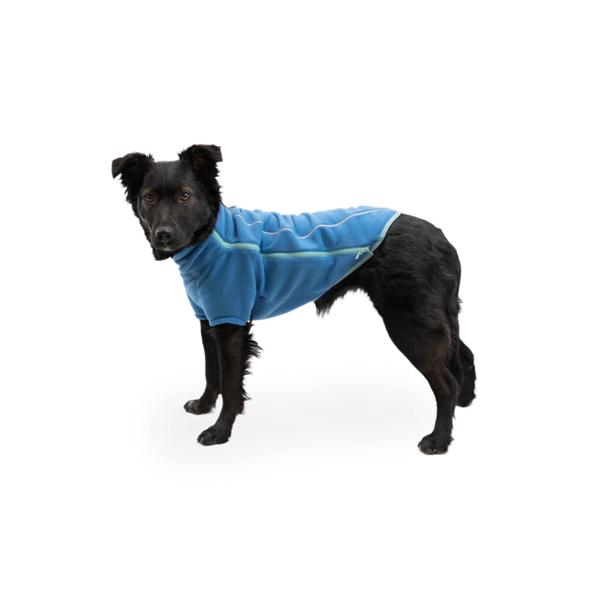 Product image 6 of 14 of RUFFWEAR Climate Changer Dog Fleece - Blue Jay