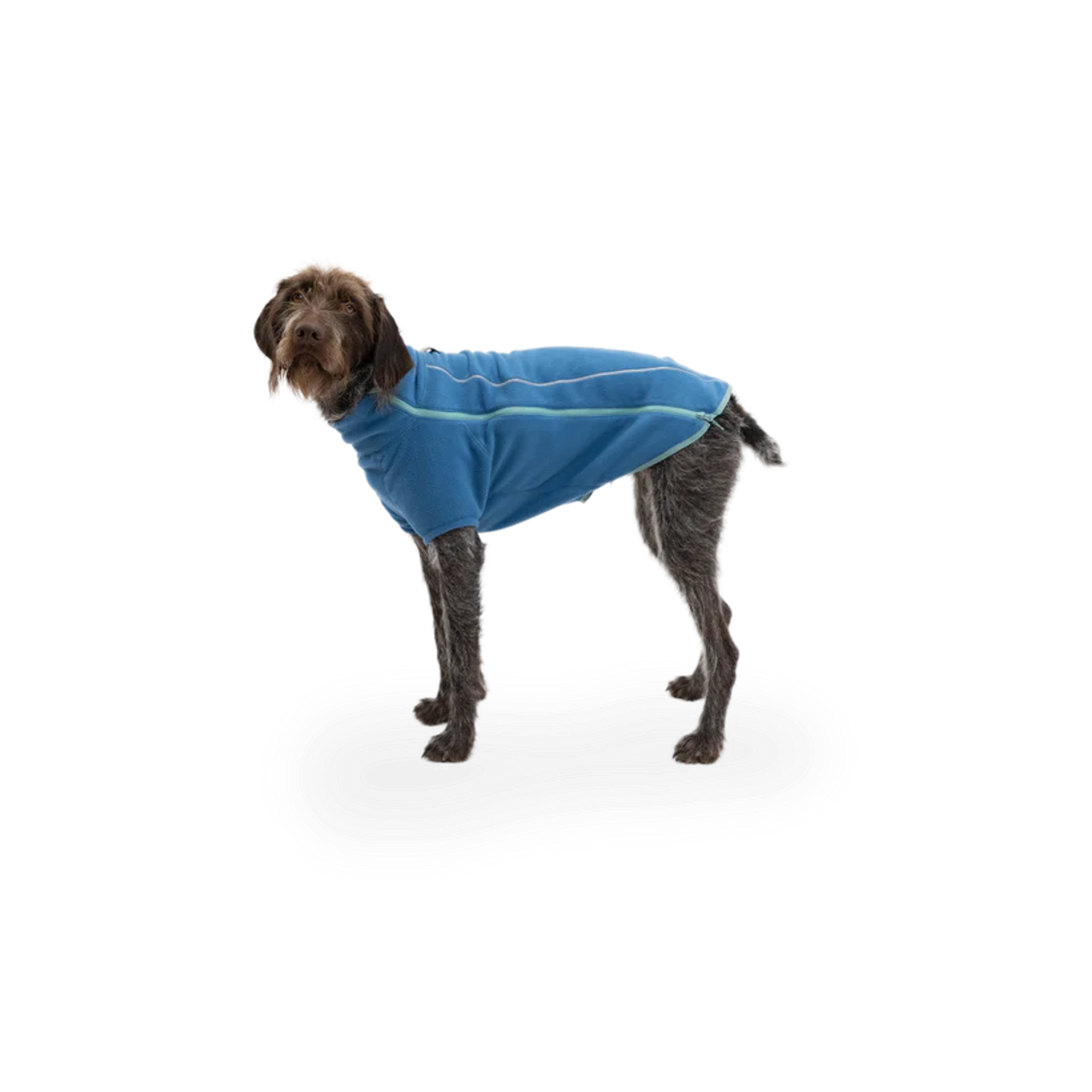 Product image 3 of 14 of RUFFWEAR Climate Changer Dog Fleece - Blue Jay