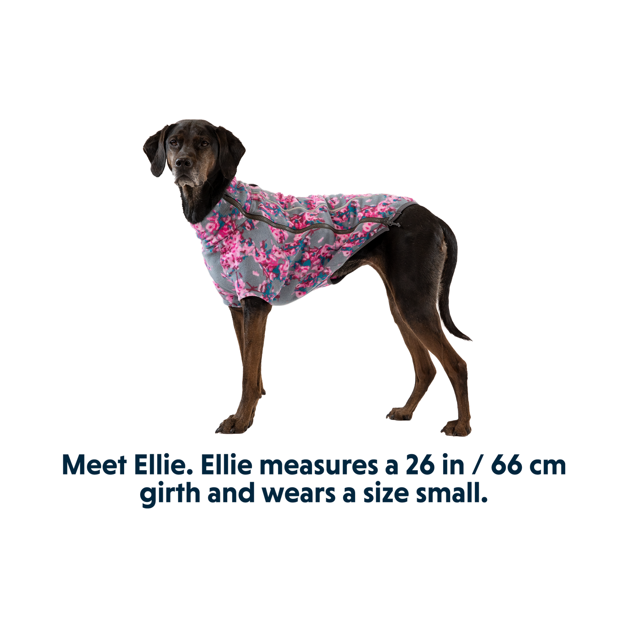 Product image 12 of 14 of RUFFWEAR Climate Changer Dog Fleece - Blue Jay