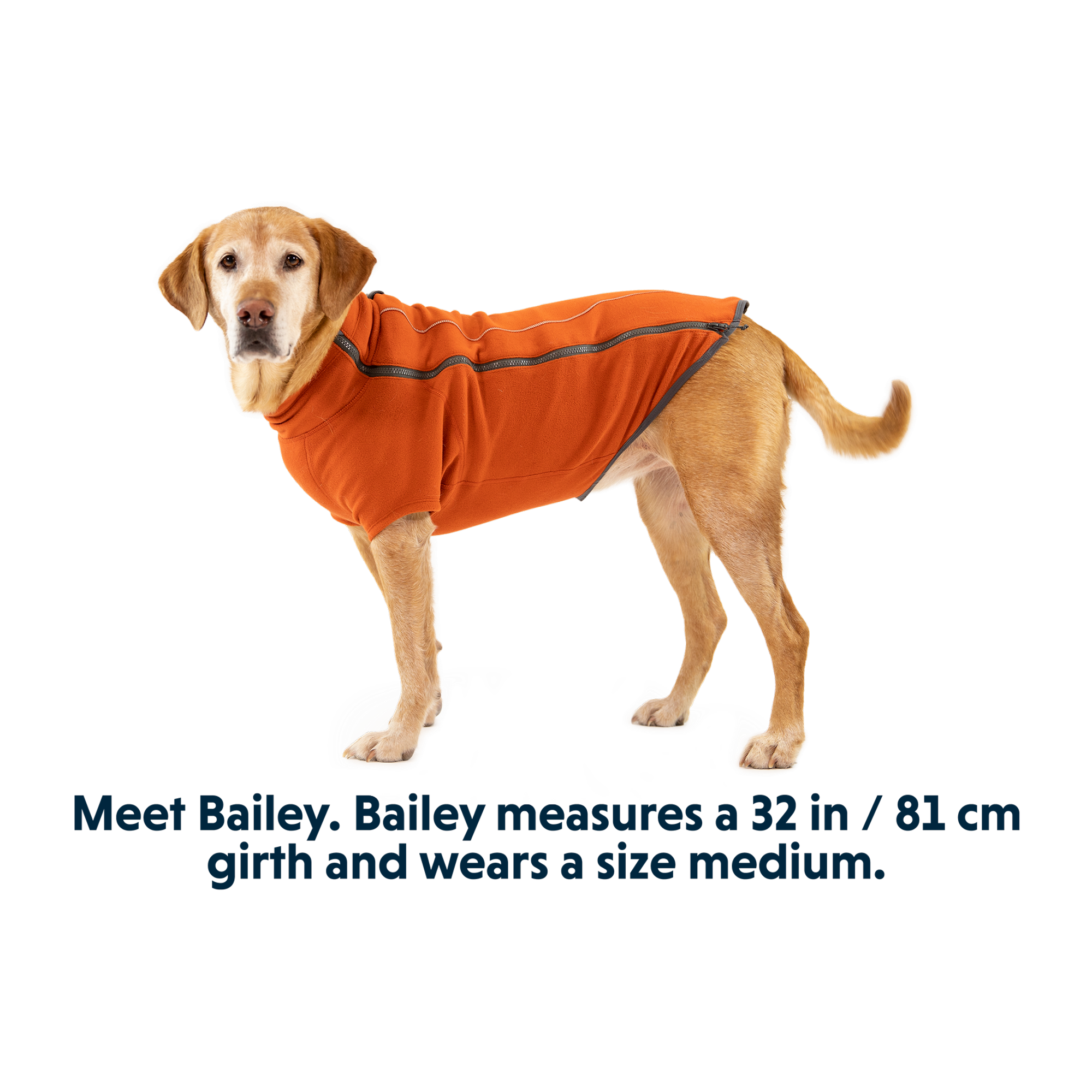 Product image 13 of 14 of RUFFWEAR Climate Changer Dog Fleece - Blue Jay