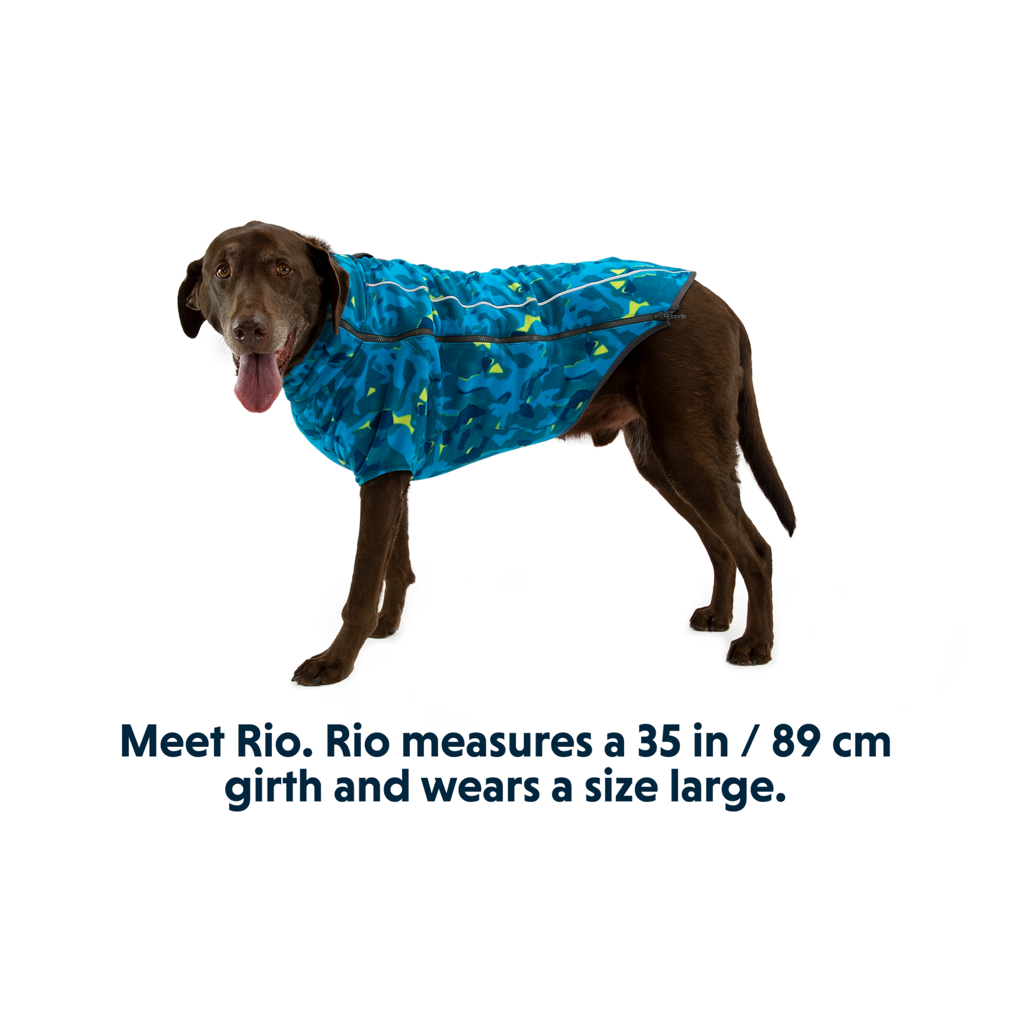 Product image 14 of 14 of RUFFWEAR Climate Changer Dog Fleece - Blue Jay