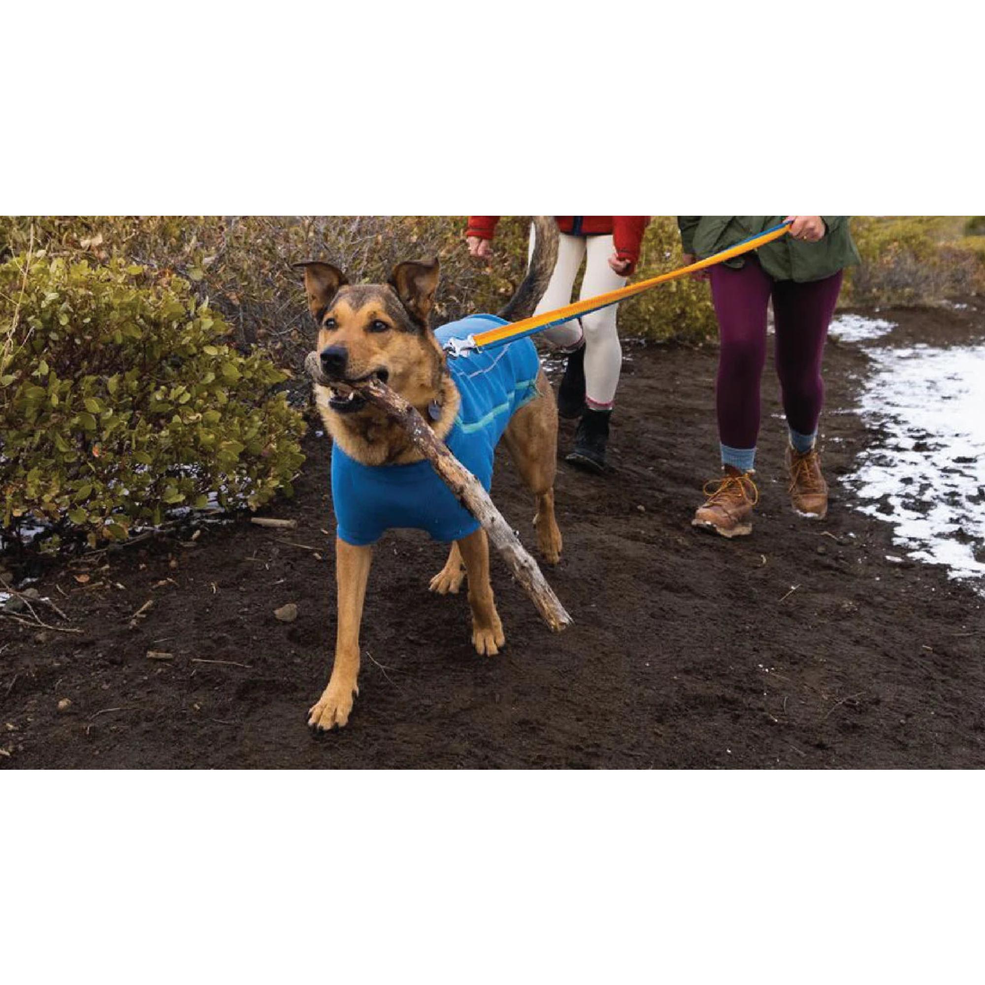 Product image 11 of 14 of RUFFWEAR Climate Changer Dog Fleece - Blue Jay