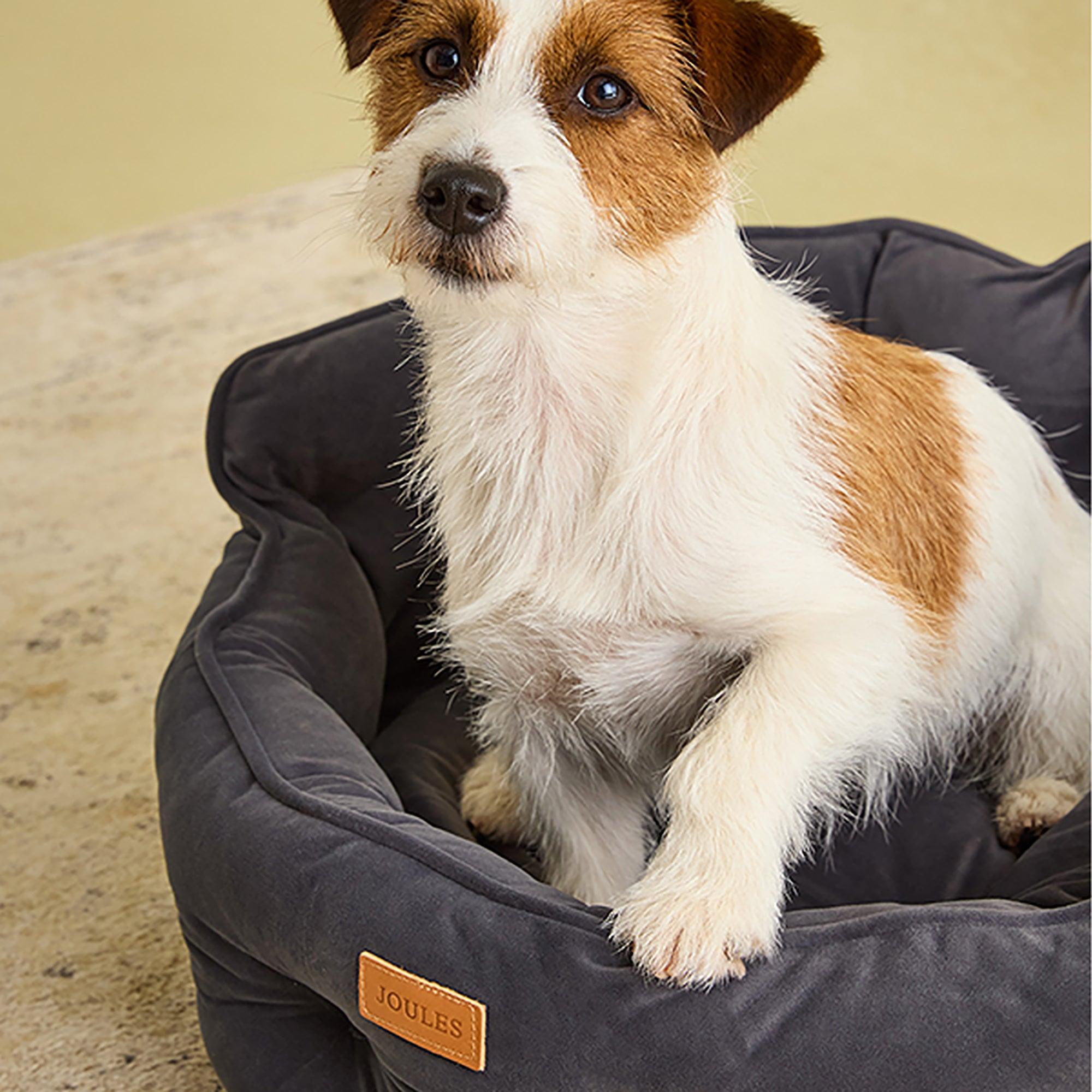 Product image 9 of 11 of Joules Chesterfield Pet Bed - Grey