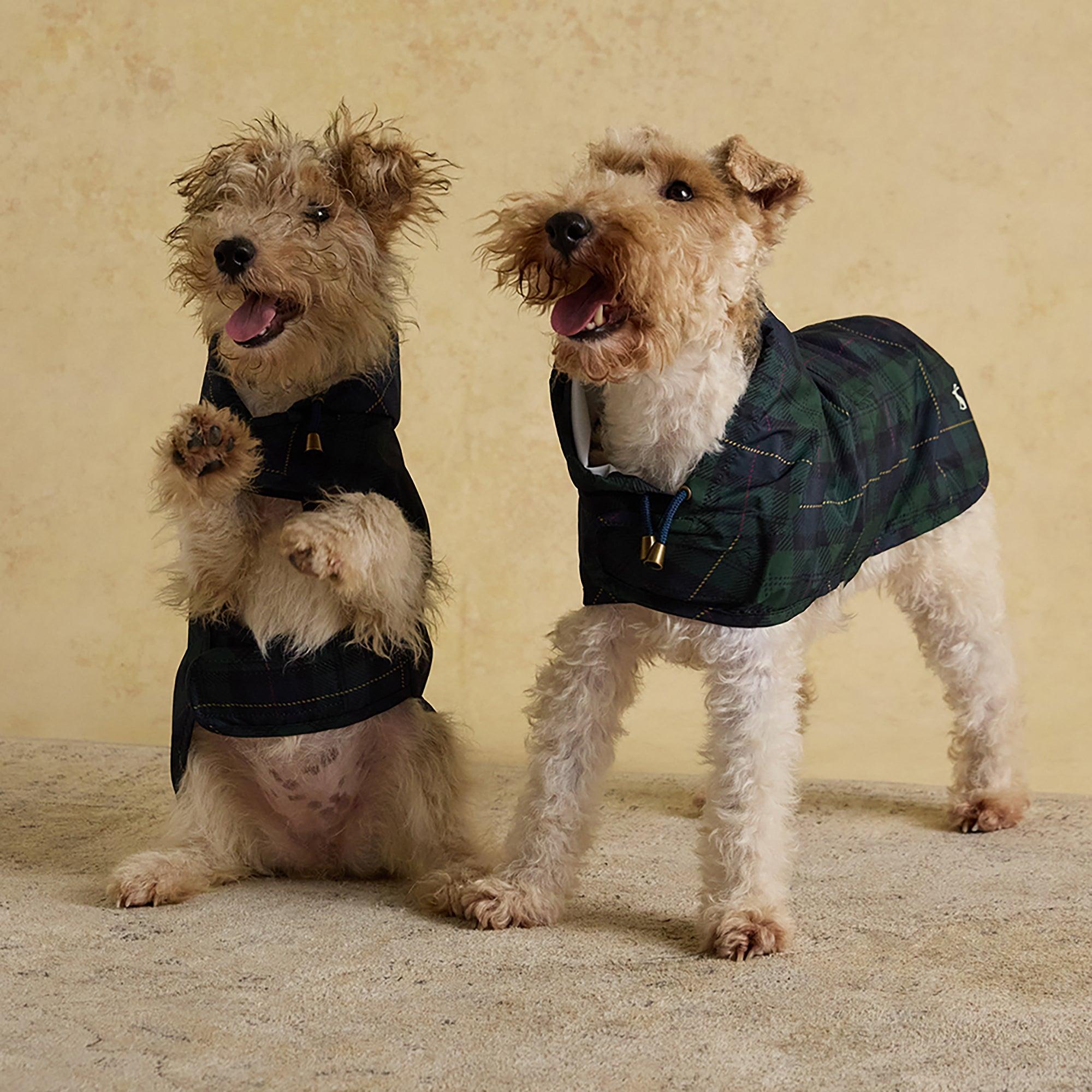 Product image 2 of 15 of Joules Packaway Dog Jacket - Blackwatch Check