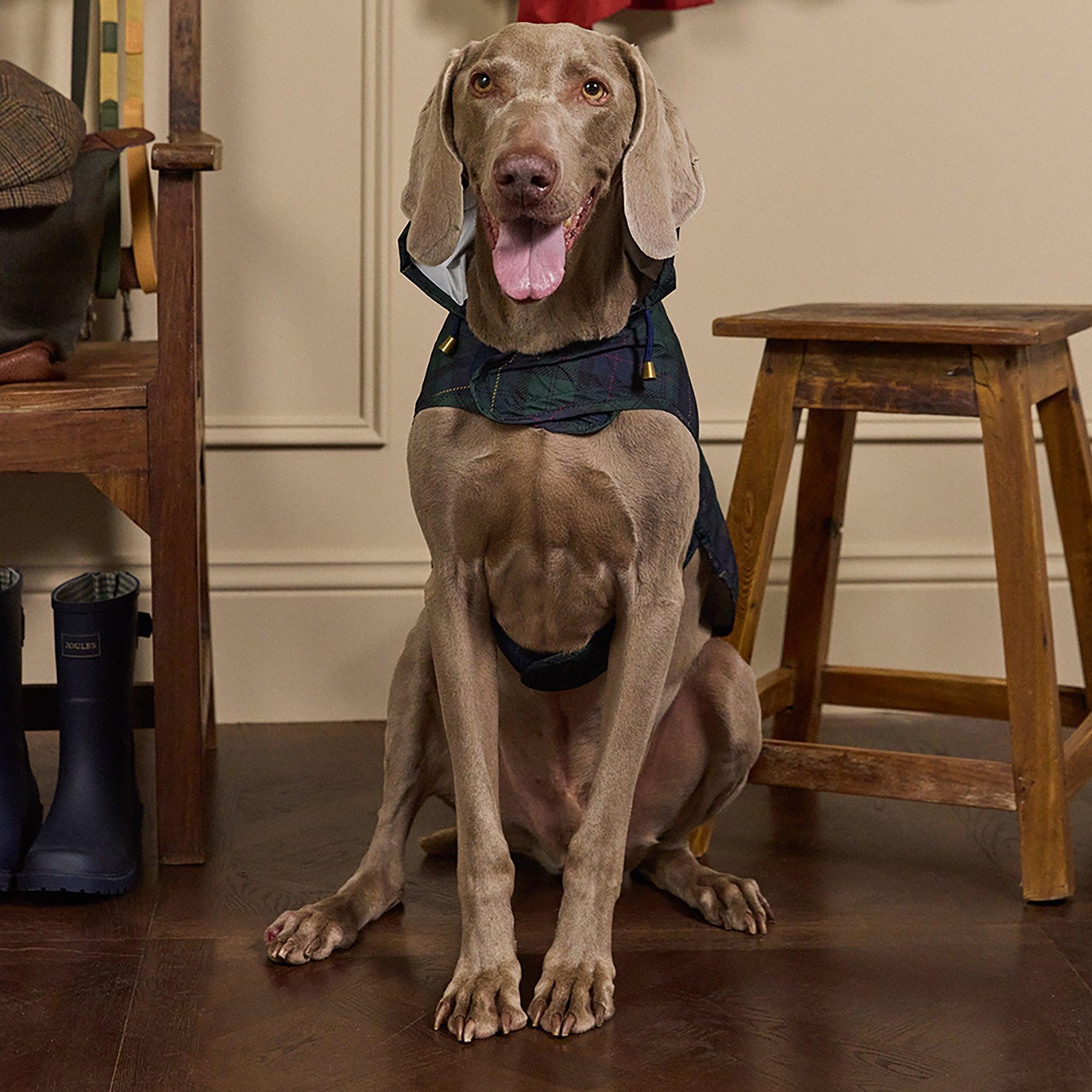 Product image 6 of 15 of Joules Packaway Dog Jacket - Blackwatch Check