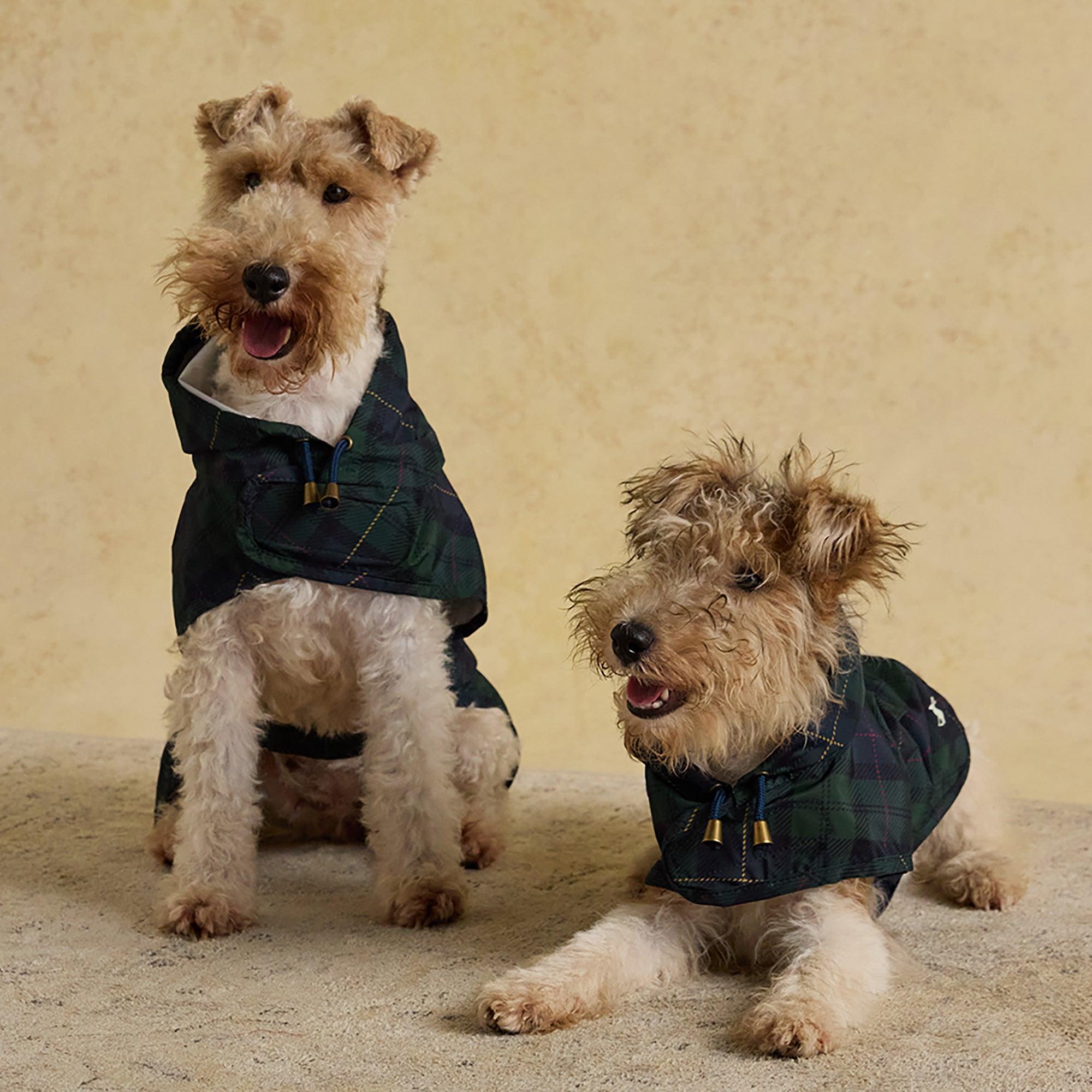 Product image 12 of 15 of Joules Packaway Dog Jacket - Blackwatch Check