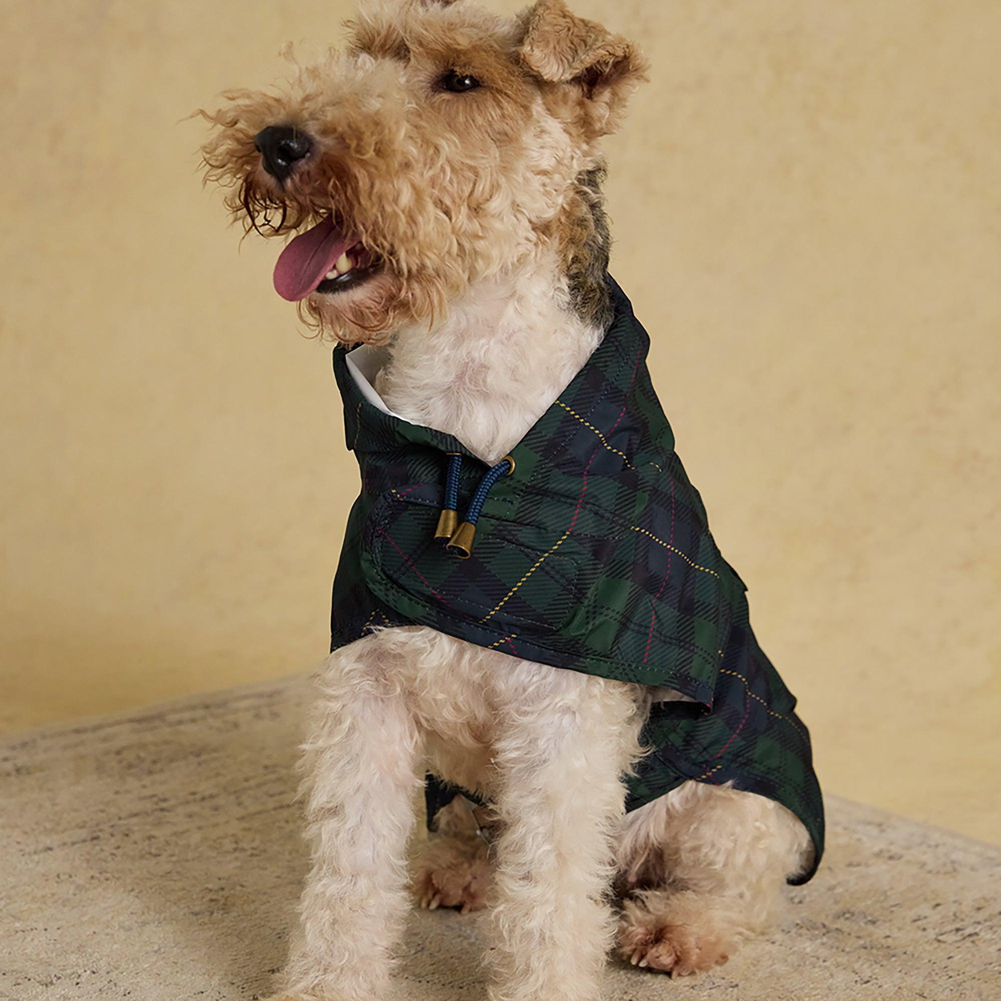 Product image 14 of 15 of Joules Packaway Dog Jacket - Blackwatch Check
