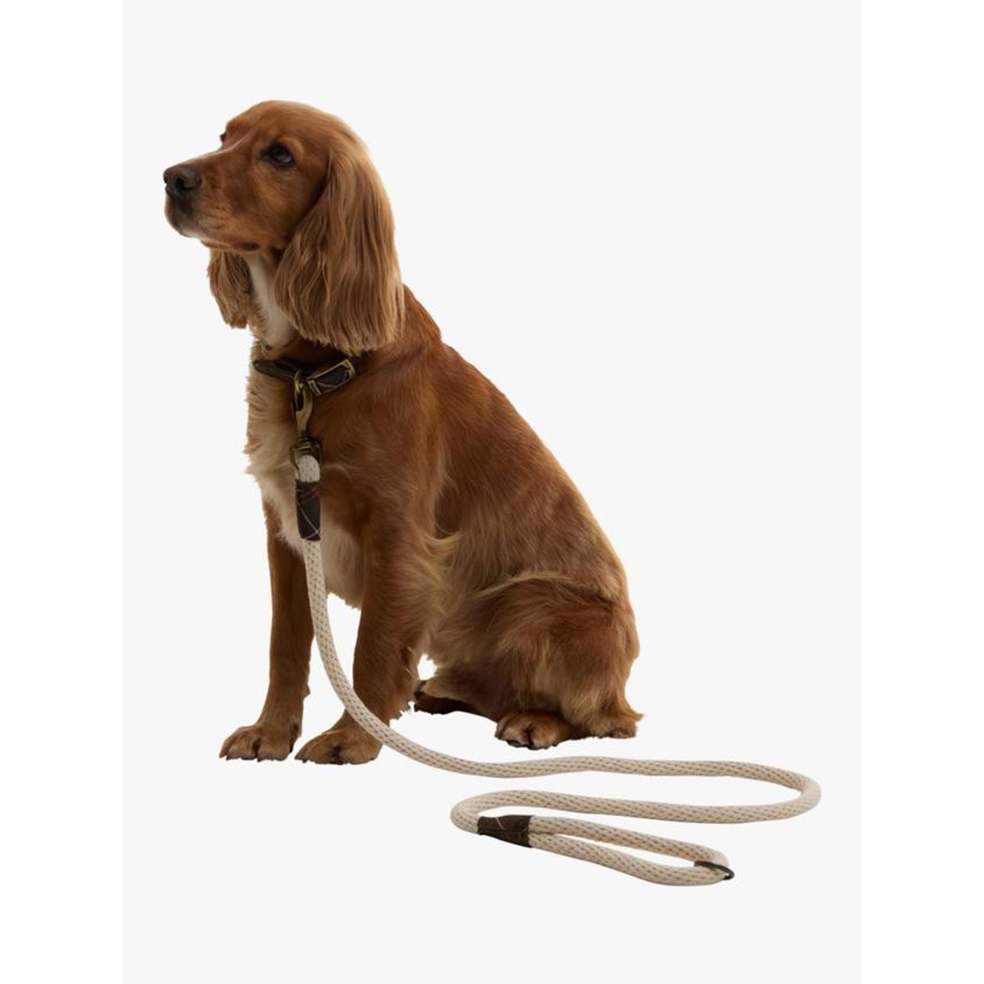 Product image 2 of 7 of Barbour Cotton Rope Dog Lead