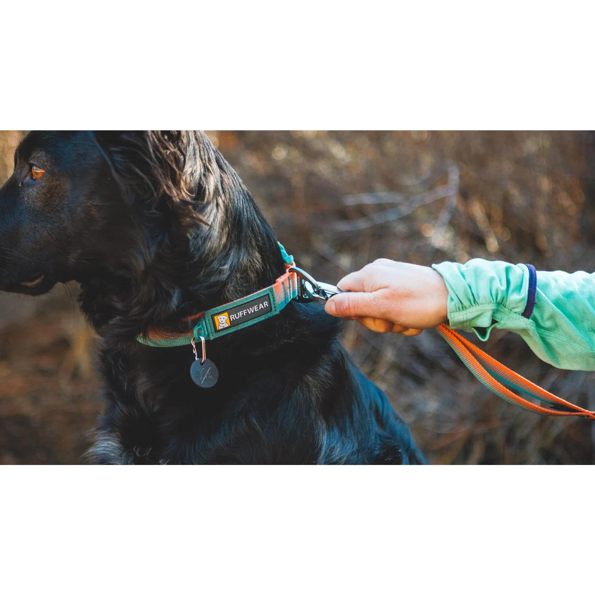 Product image 6 of 7 of RUFFWEAR Front Range Dog Collar - Moonlight Fade