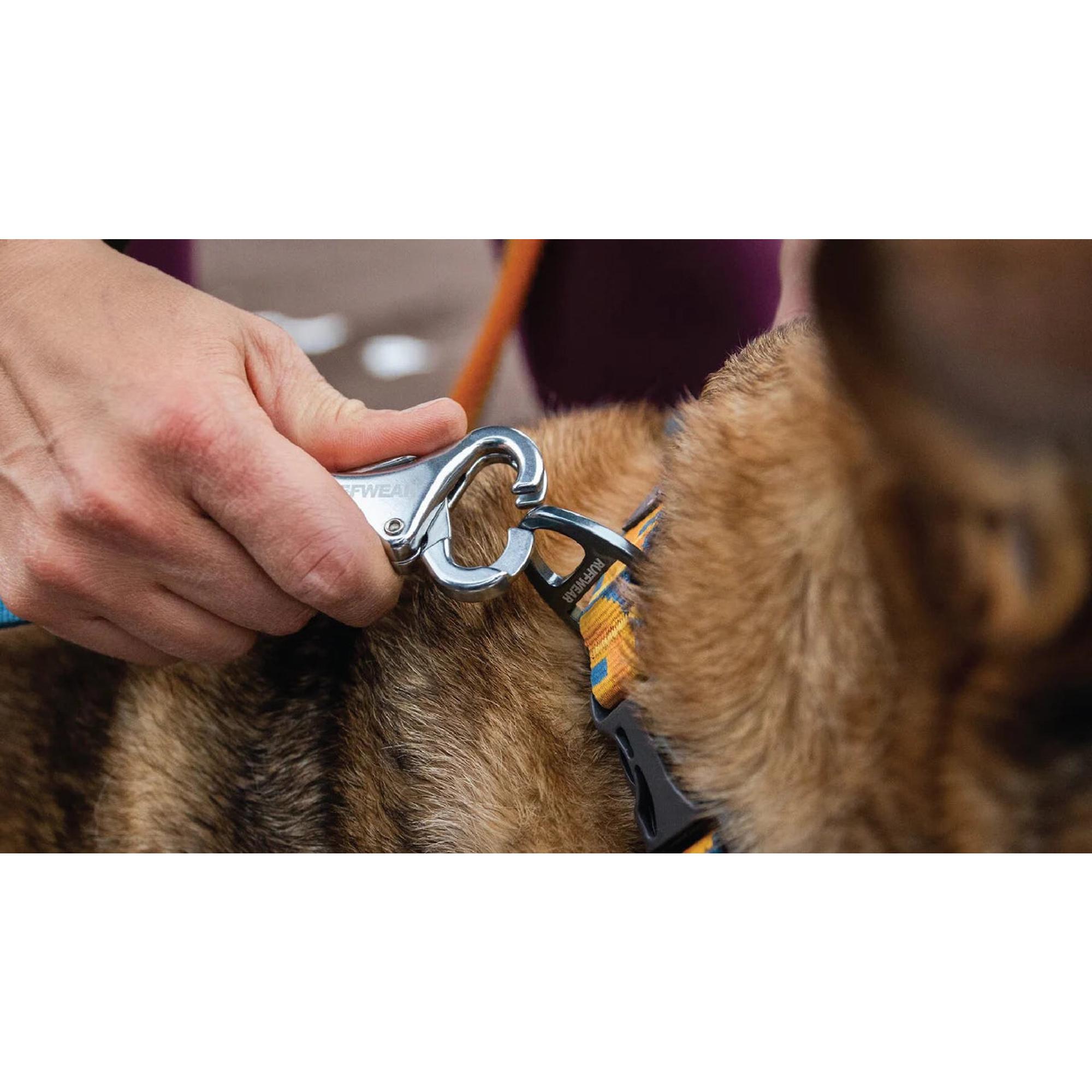 Product image 9 of 11 of RUFFWEAR Roamer Bungee Dog Lead - Orion Blue