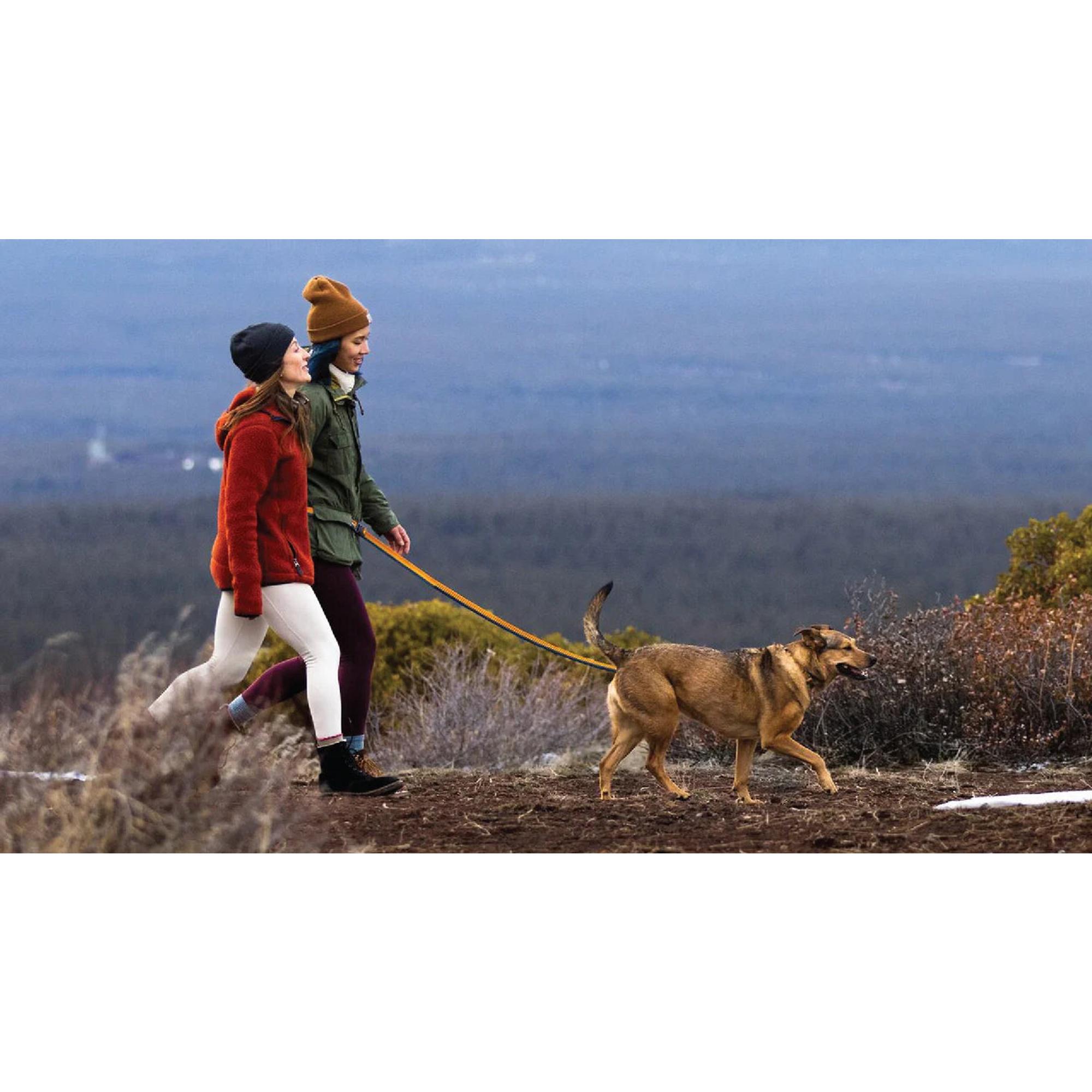 Product image 10 of 11 of RUFFWEAR Roamer Bungee Dog Lead - Orion Blue