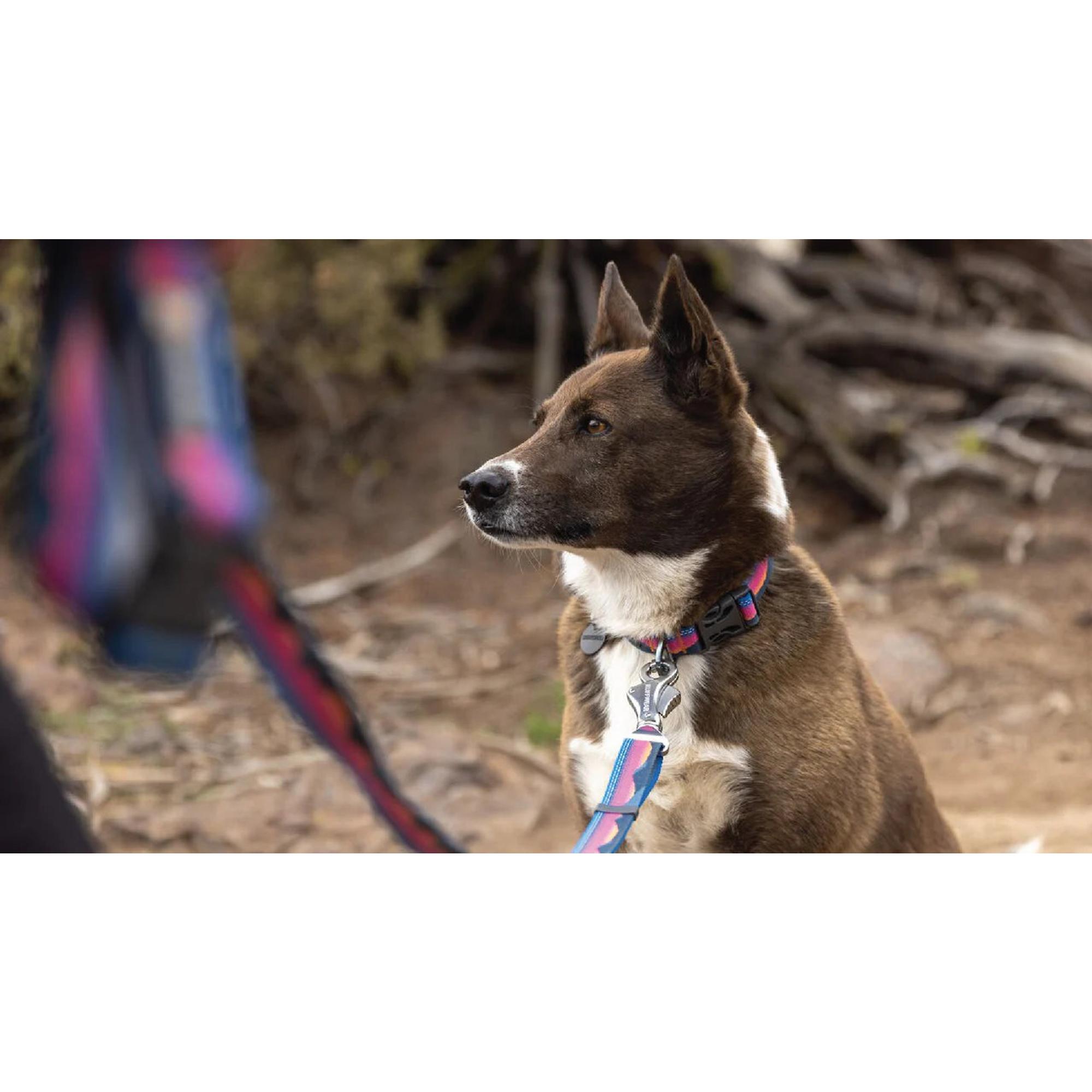 Product image 10 of 12 of RUFFWEAR Crag EX Adjustable Dog Lead - Alpine Dusk