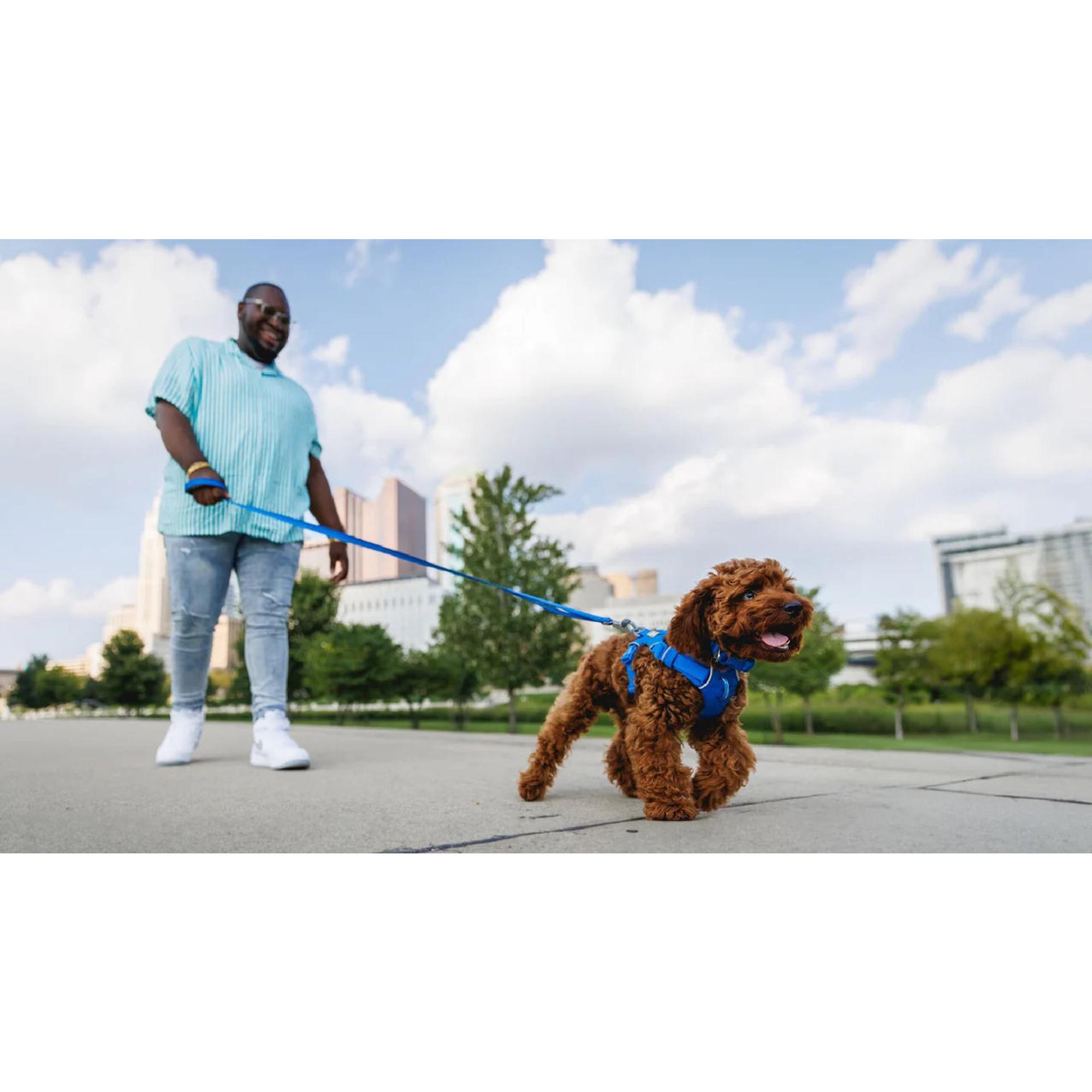 Product image 7 of 9 of RUFFWEAR Front Range Dog Lead - Coastal Fade