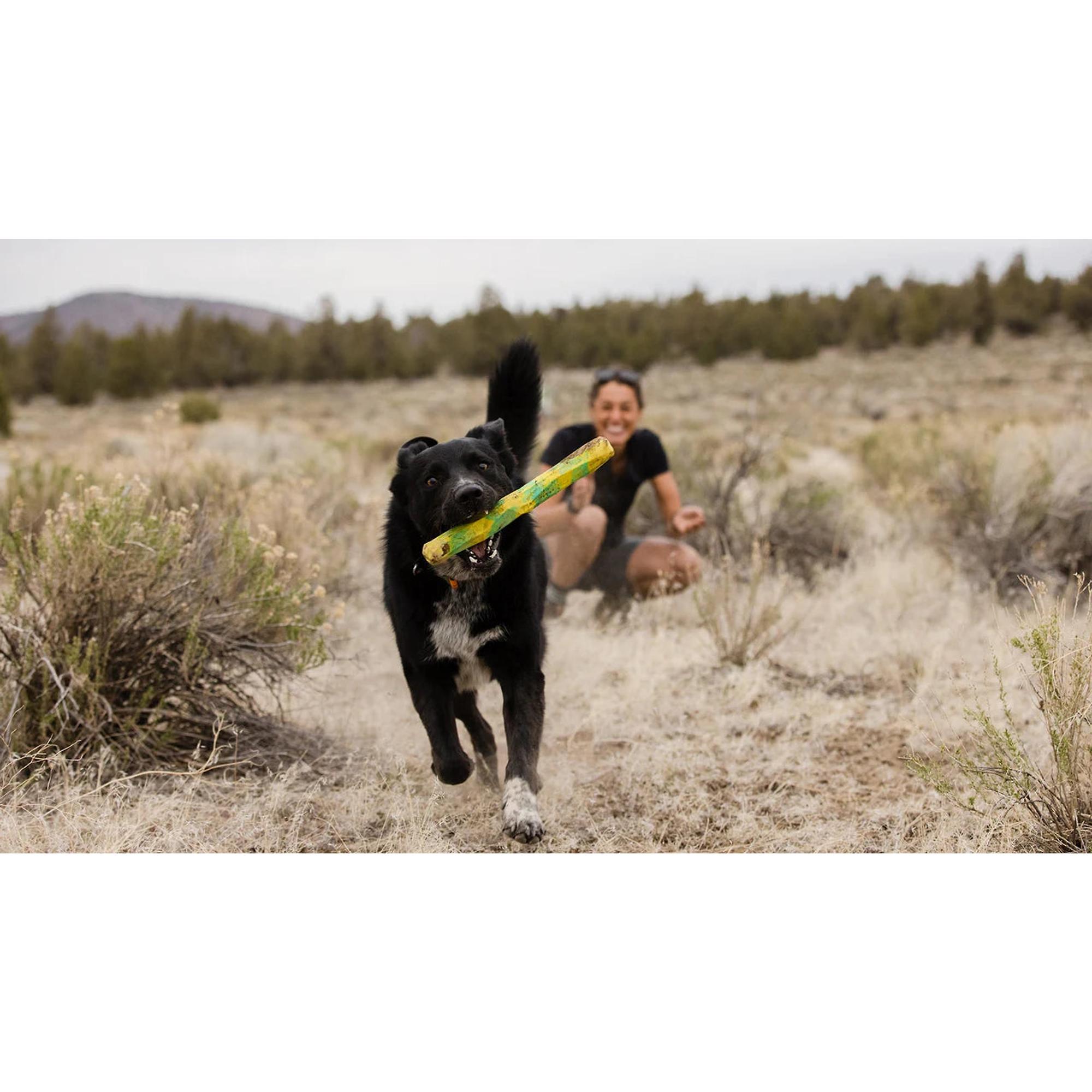 Product image 4 of 9 of RUFFWEAR Gnawt-a-Stick - Lichen Green