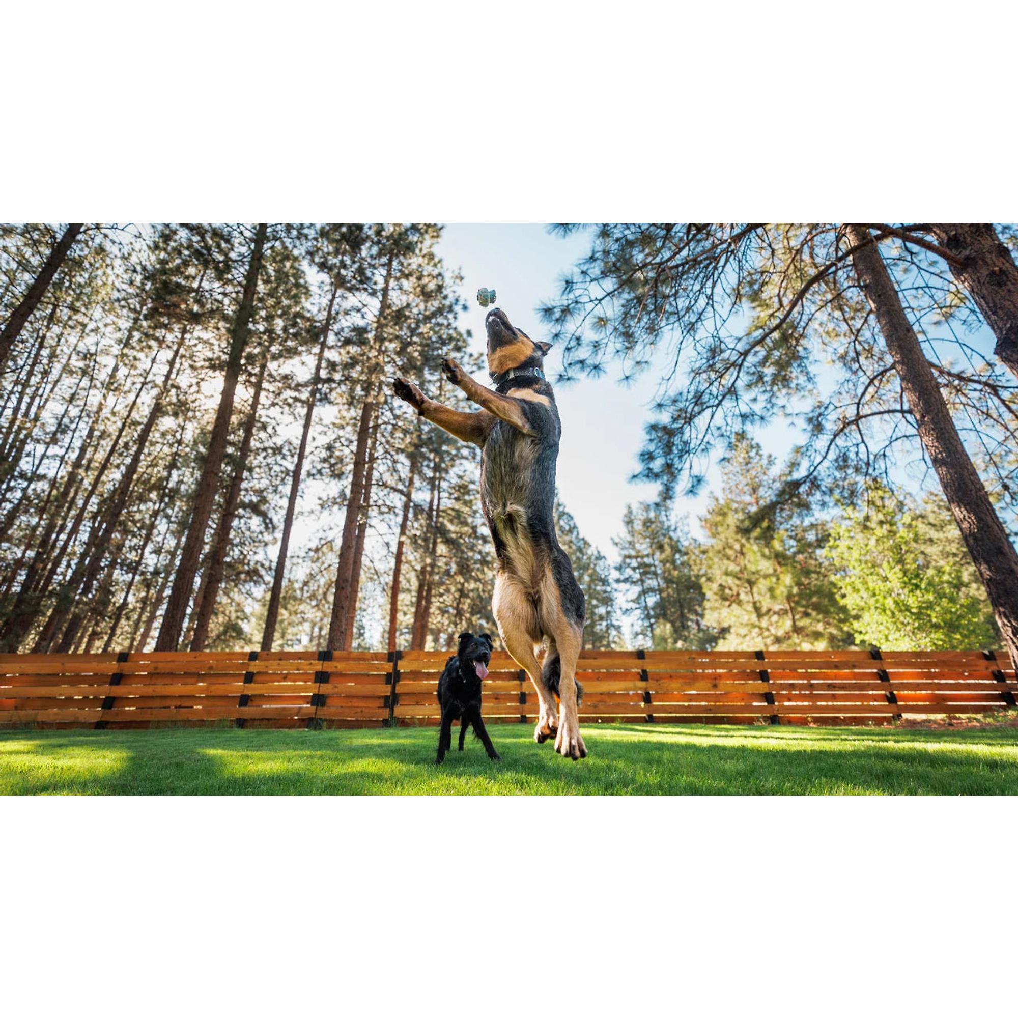 Product image 5 of 6 of RUFFWEAR Toadstool Dog Toy - Moss Green