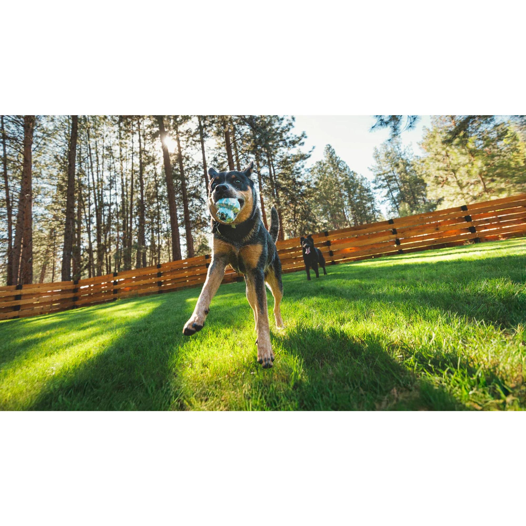 Product image 6 of 6 of RUFFWEAR Toadstool Dog Toy - Moss Green