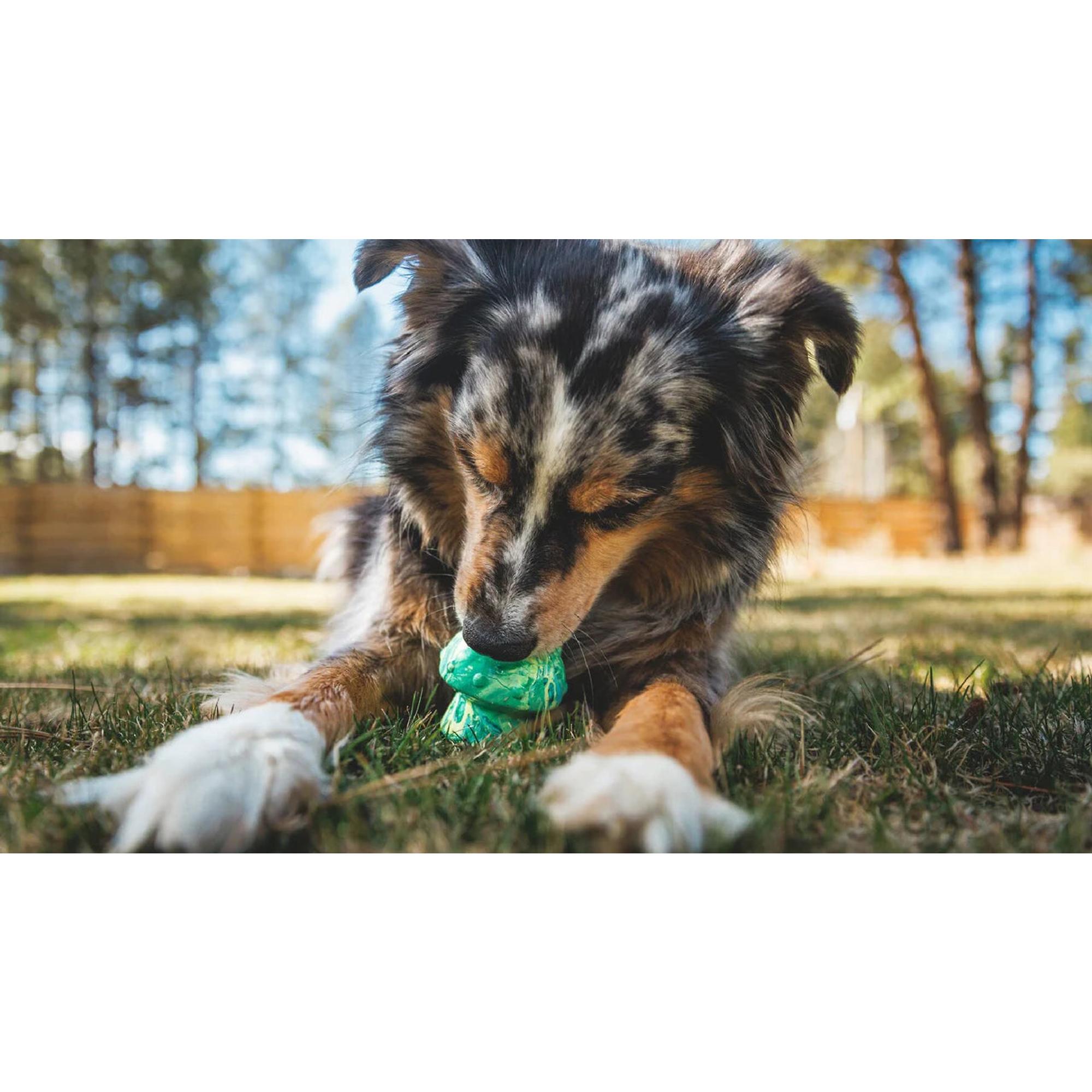Product image 4 of 6 of RUFFWEAR Toadstool Dog Toy - Moss Green