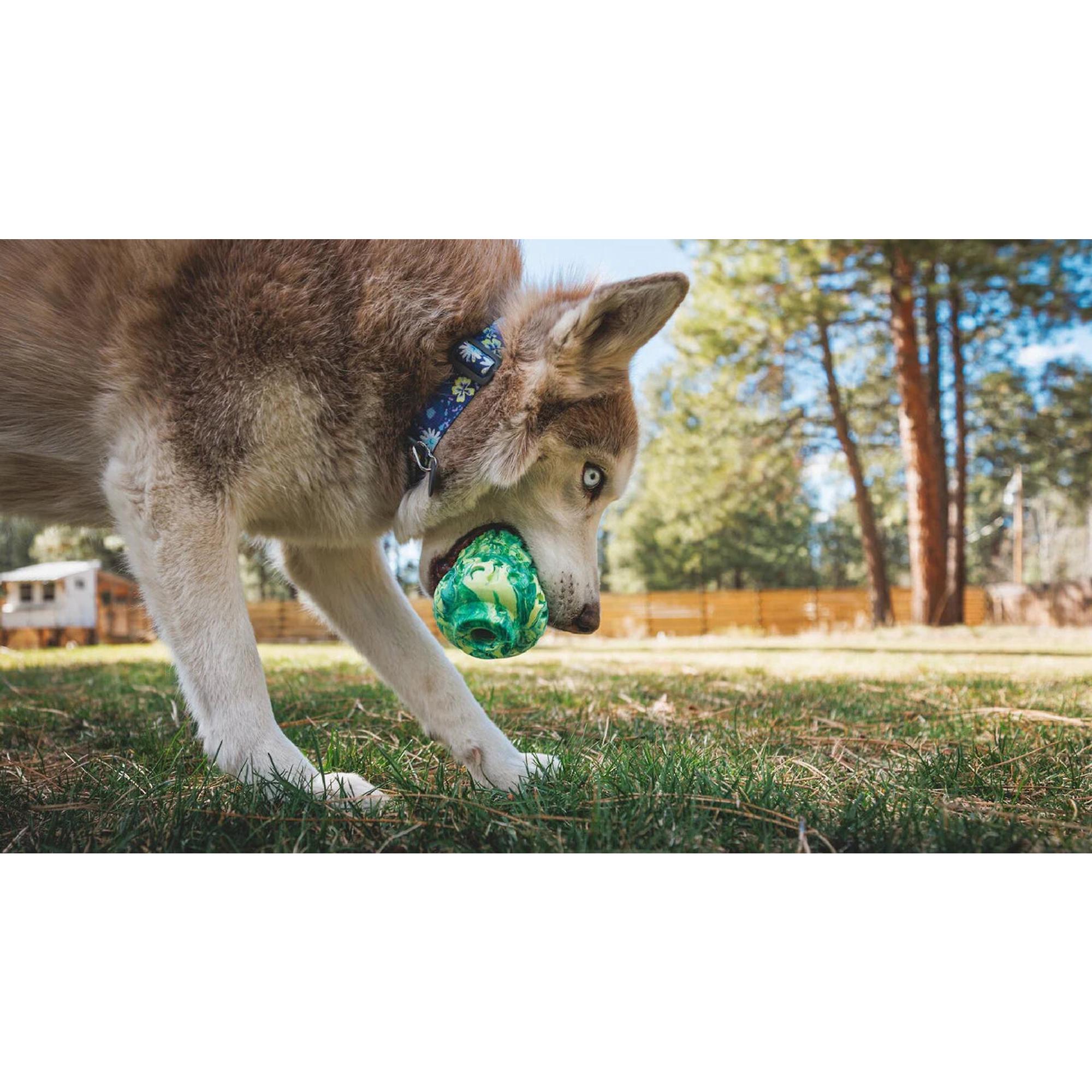 Product image 5 of 5 of RUFFWEAR Morel Dog Toy - Grey Sky
