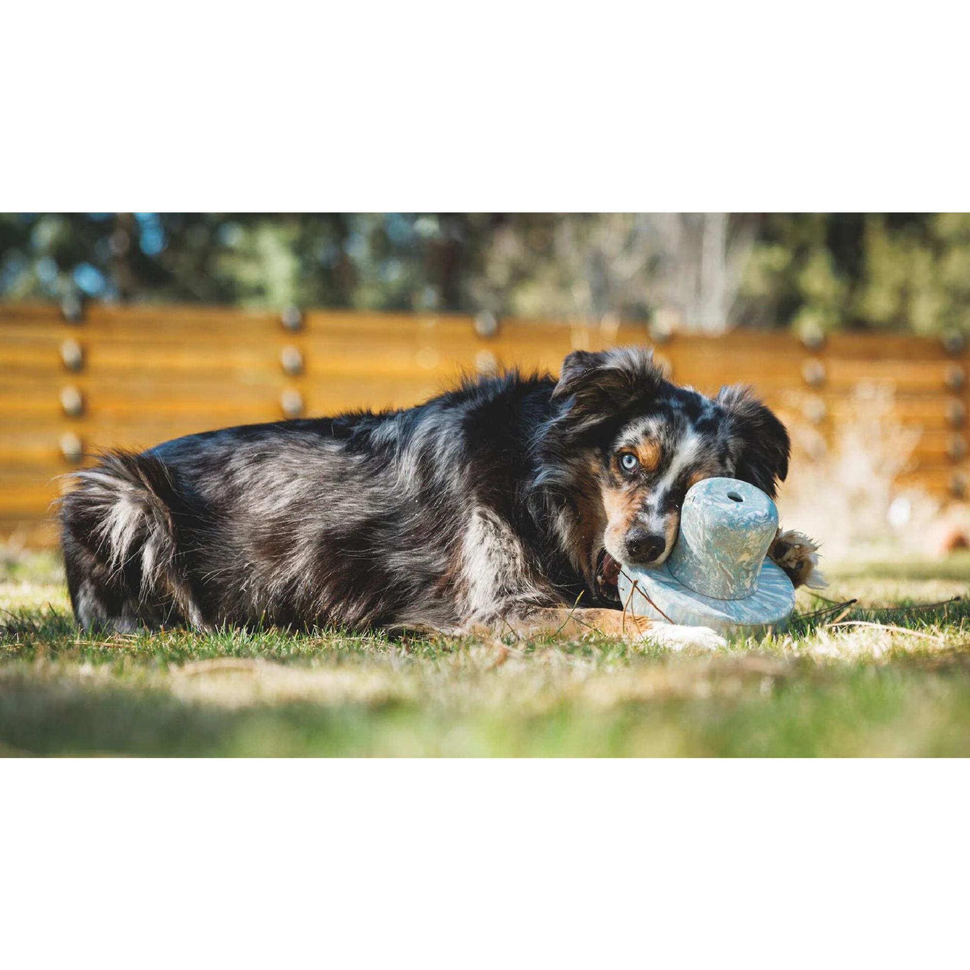 Product image 4 of 5 of RUFFWEAR Porcini Dog Toy - Blue Prism
