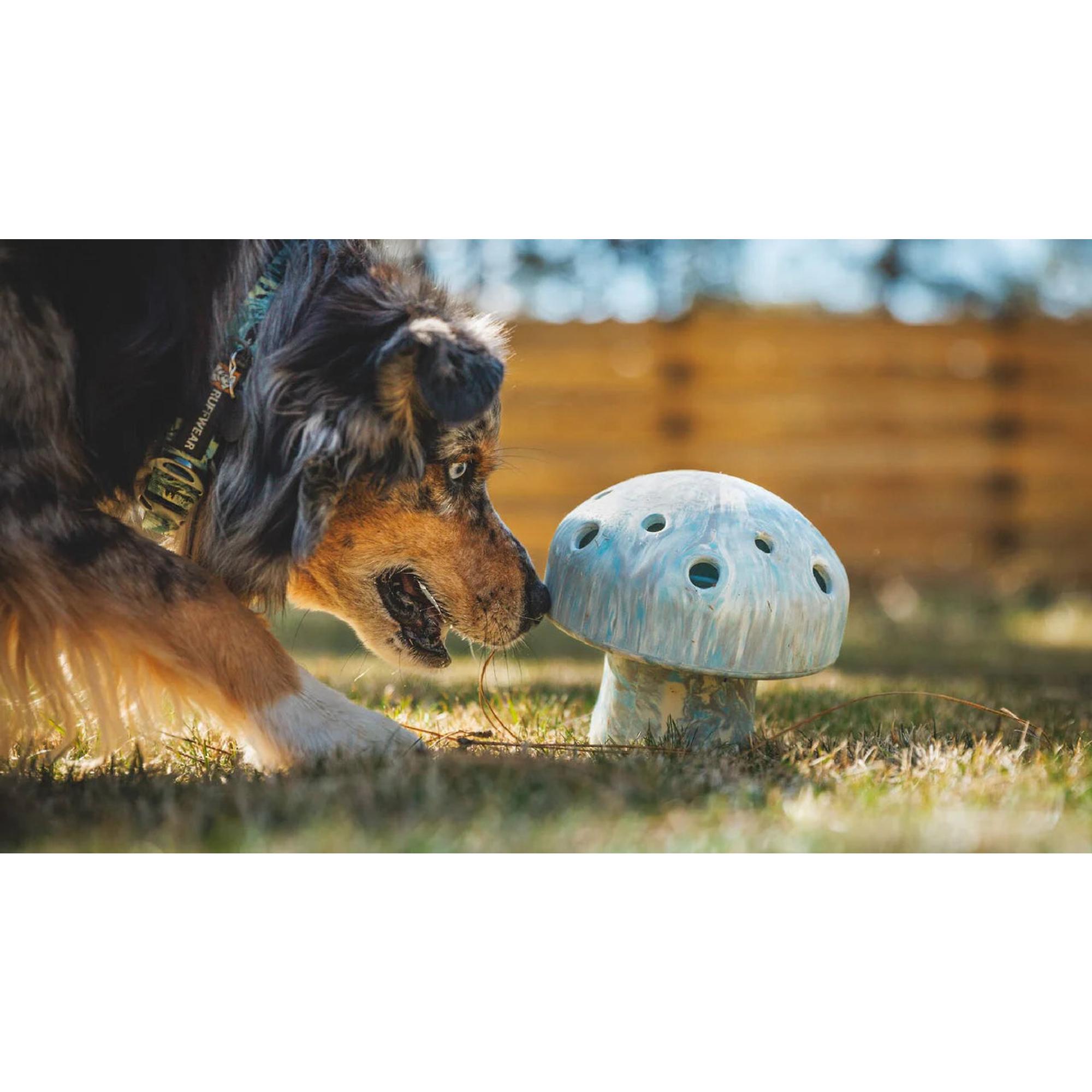 Product image 3 of 5 of RUFFWEAR Porcini Dog Toy - Blue Prism