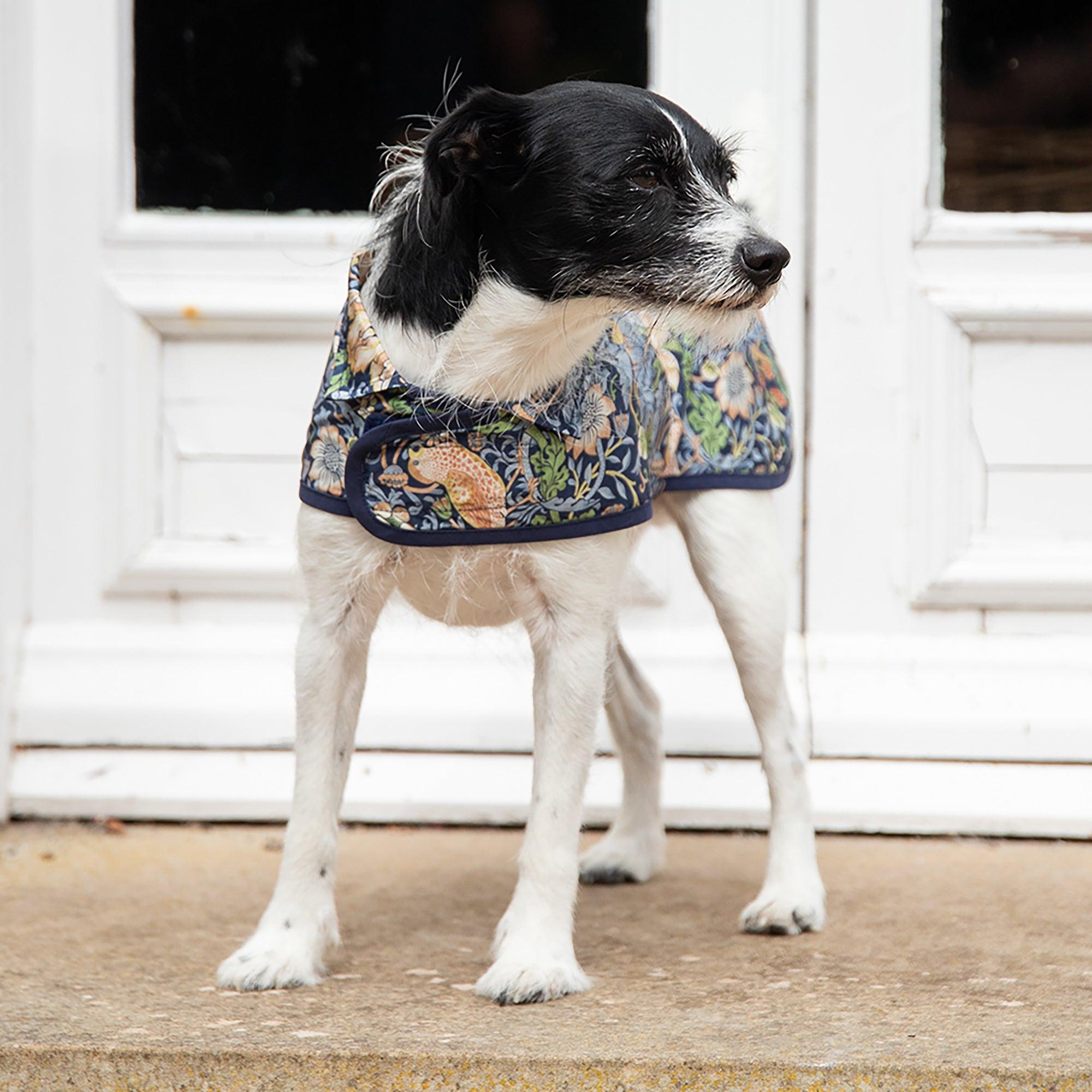 Product image 5 of 9 of William Morris Reversible Dog Coat - Strawberry Thief Print