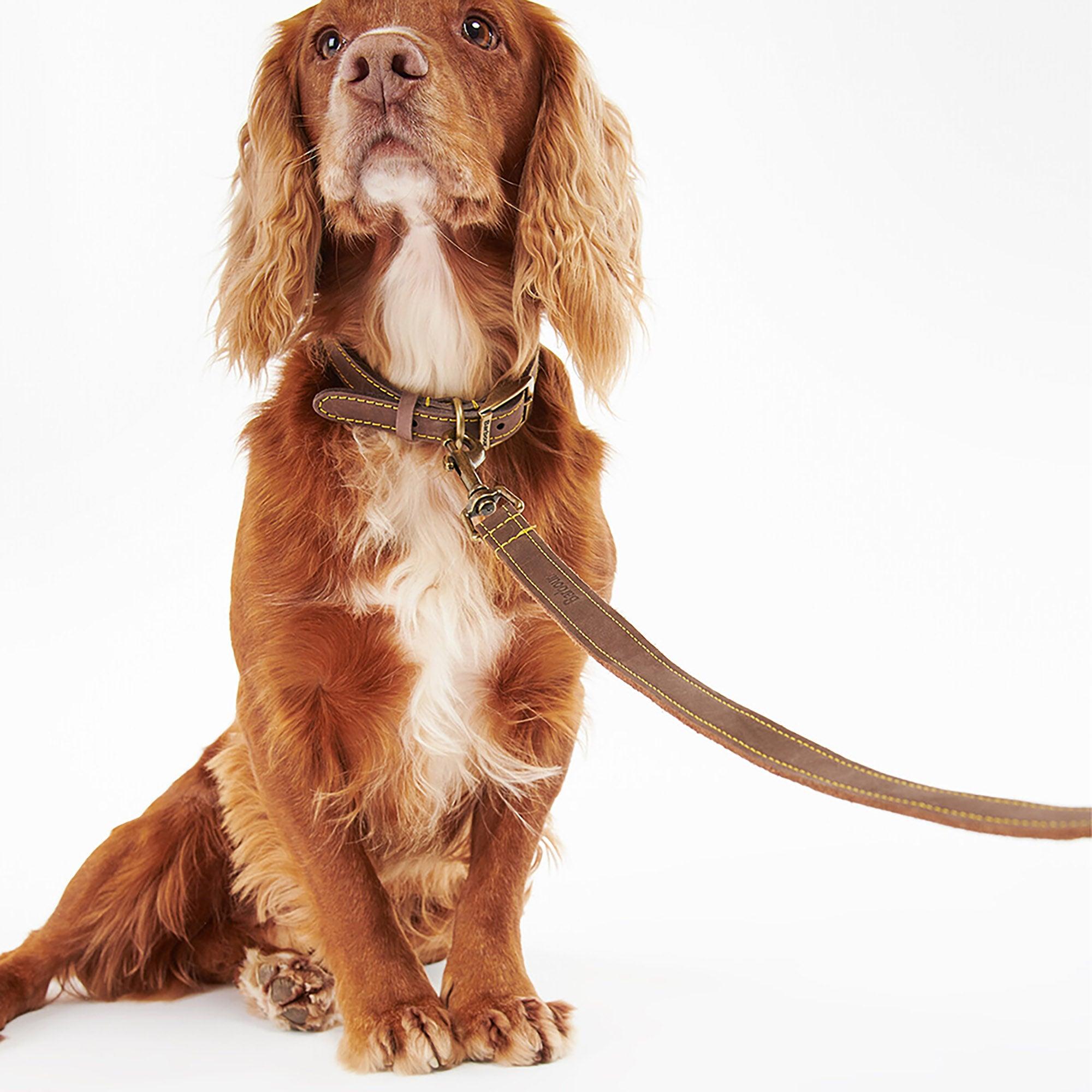 Product image 2 of 6 of Barbour Leather Dog Lead - Brown