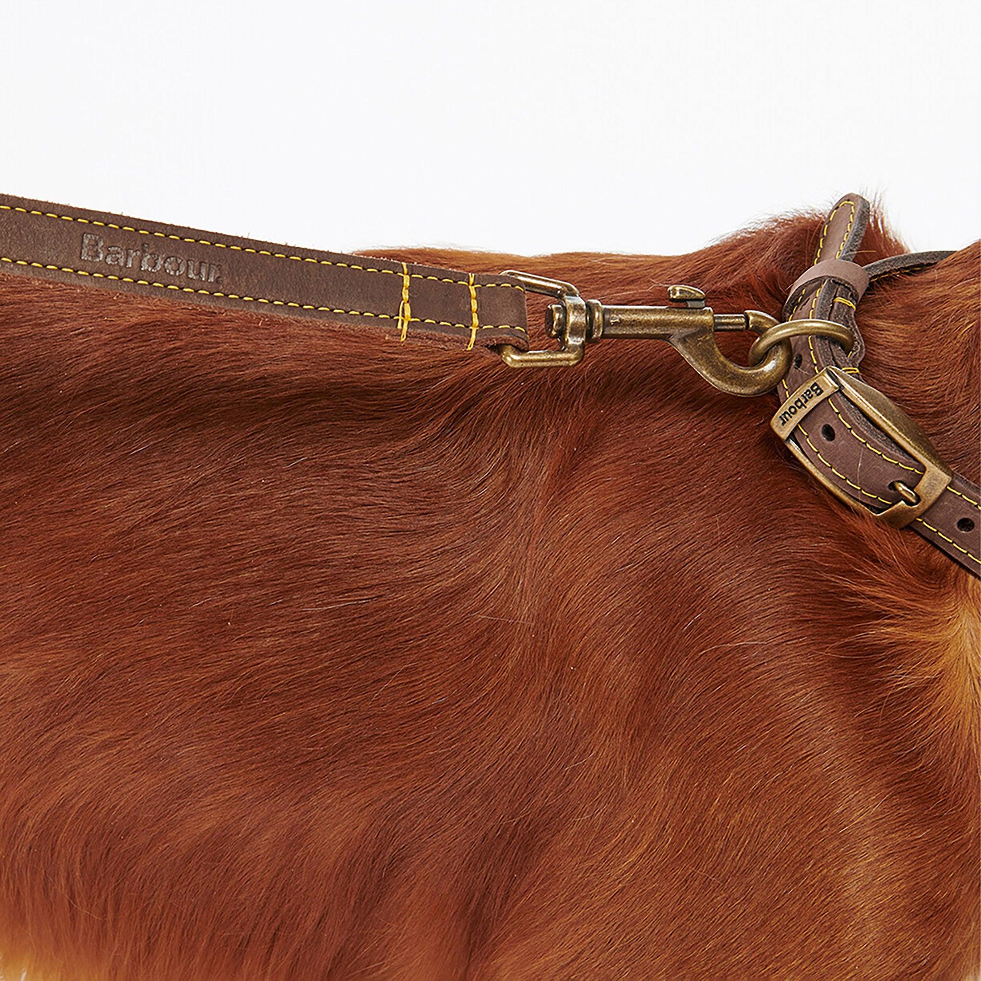 Product image 3 of 6 of Barbour Leather Dog Lead - Brown