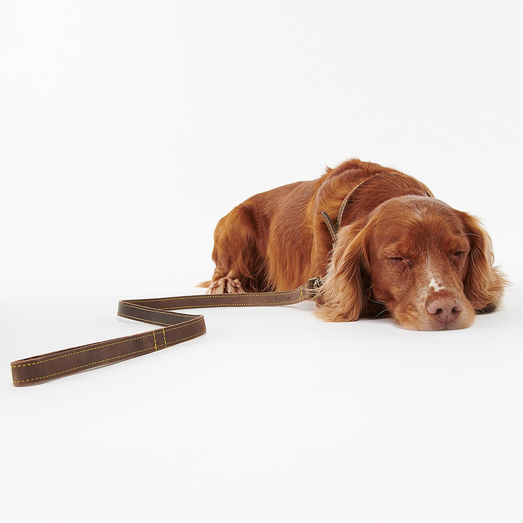 Product image 6 of 6 of Barbour Leather Dog Lead - Brown