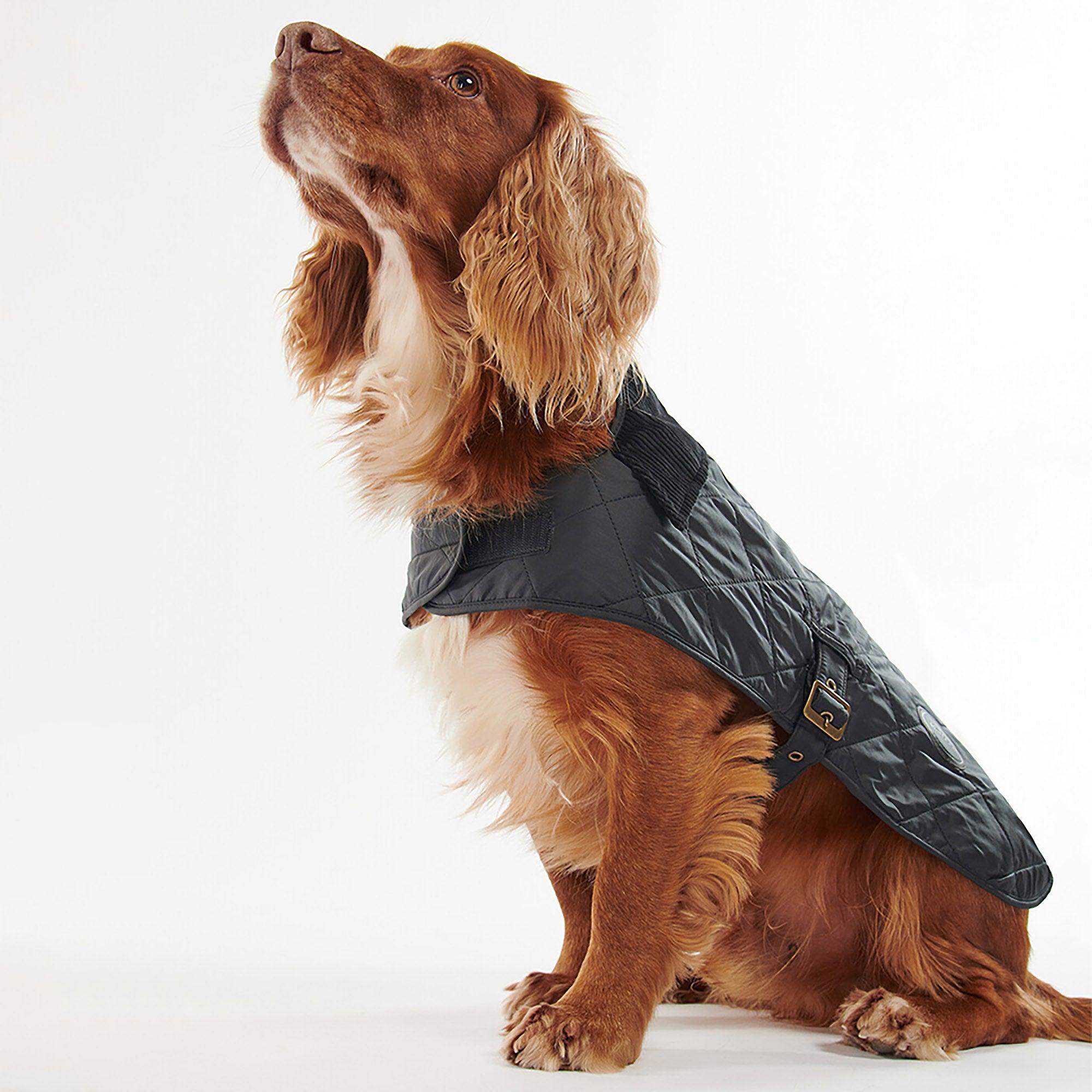 Product image 3 of 7 of Barbour Quilted Dog Coat - Black