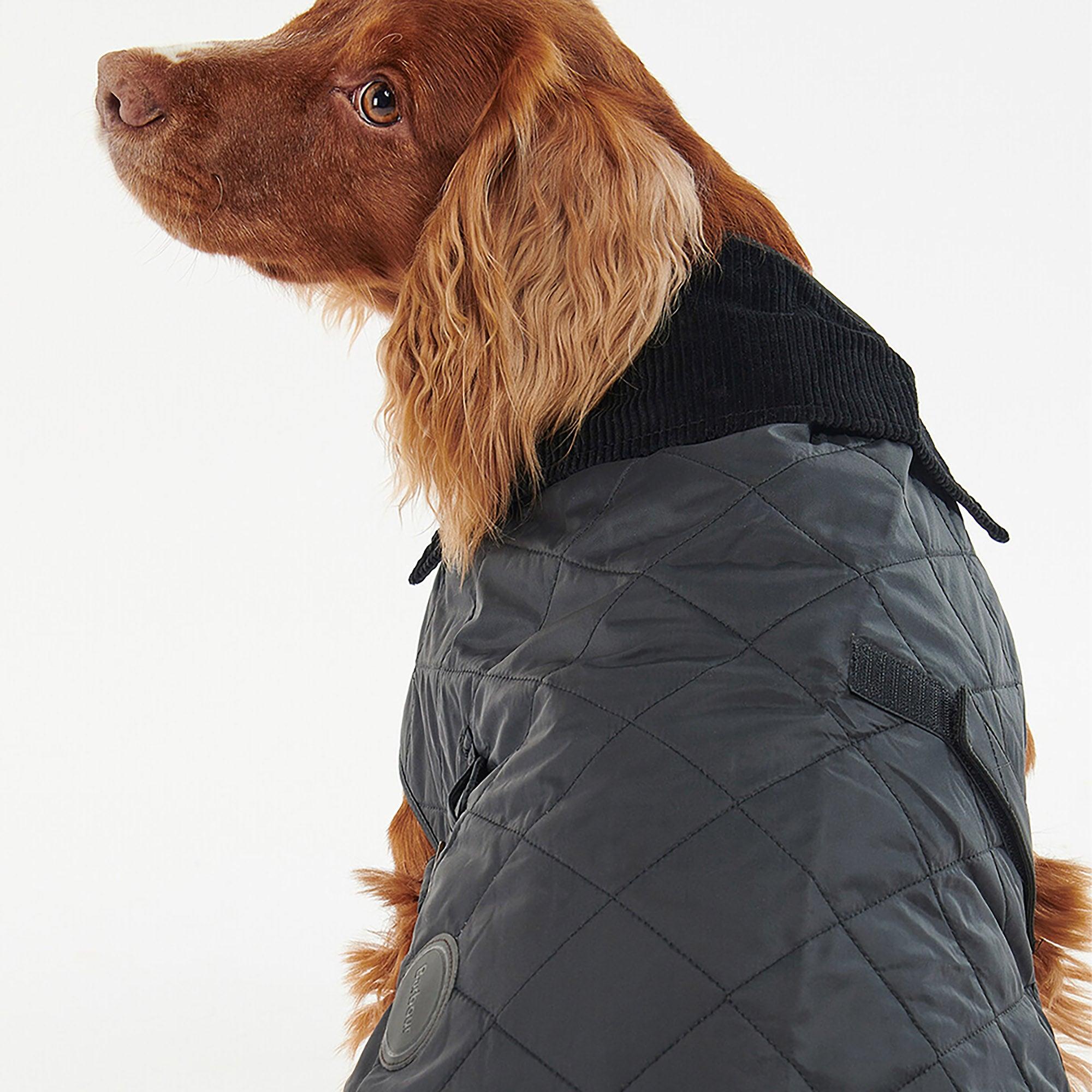 Product image 4 of 7 of Barbour Quilted Dog Coat - Black