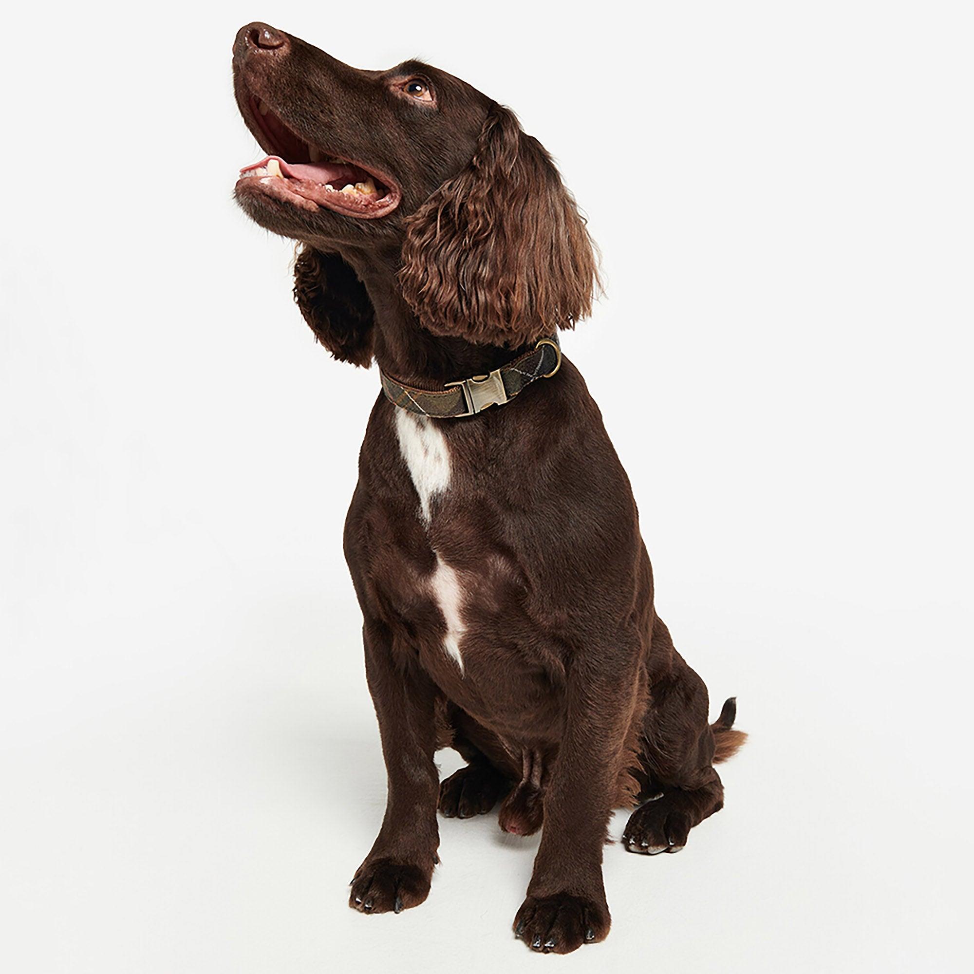 Product image 4 of 4 of Barbour Reflective Tartan Dog Collar - Classic Tartan