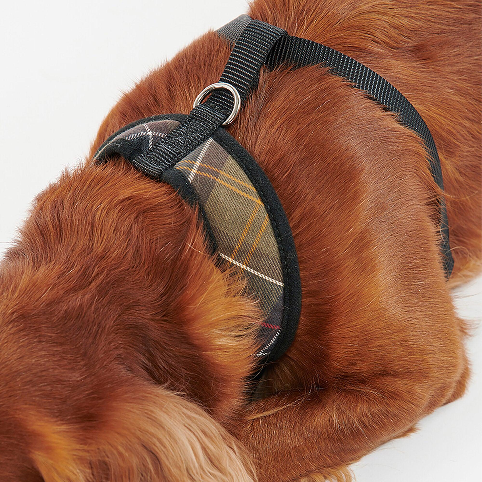 Product image 5 of 8 of Barbour Tartan Dog Harness - Classic Tartan
