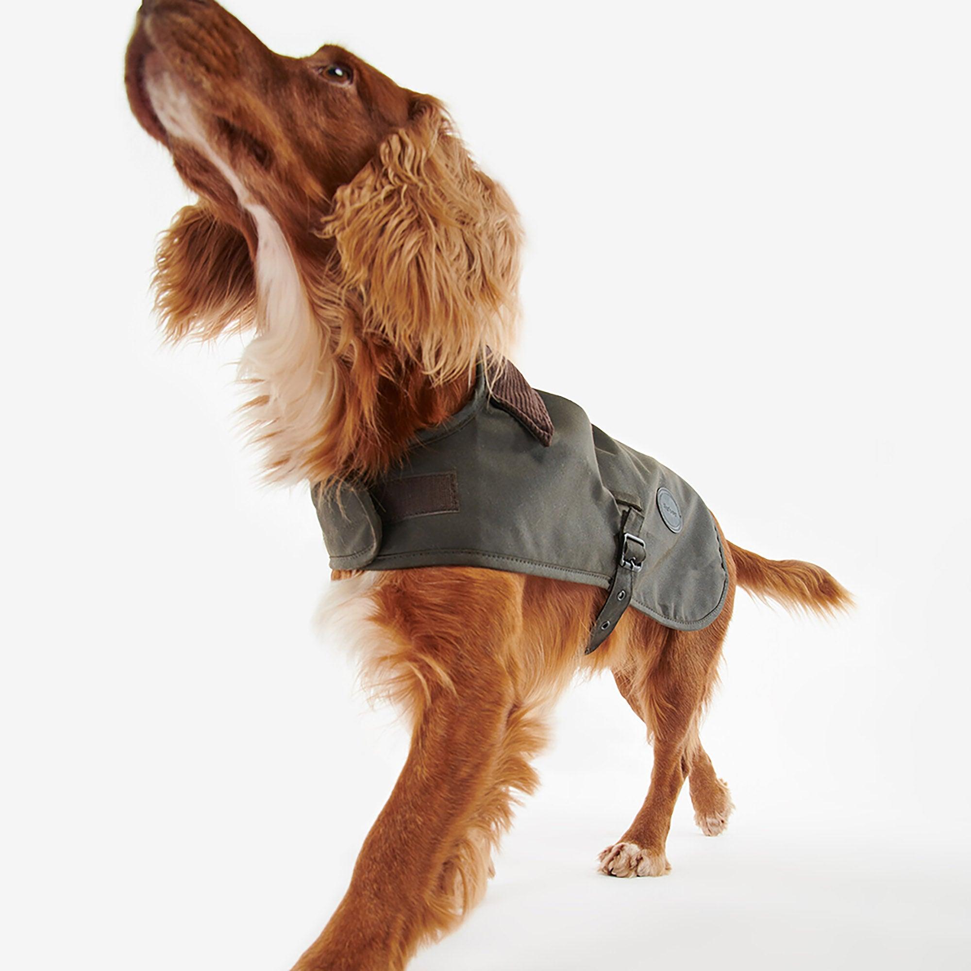 Product image 3 of 9 of Barbour Wax Dog Coat - Olive