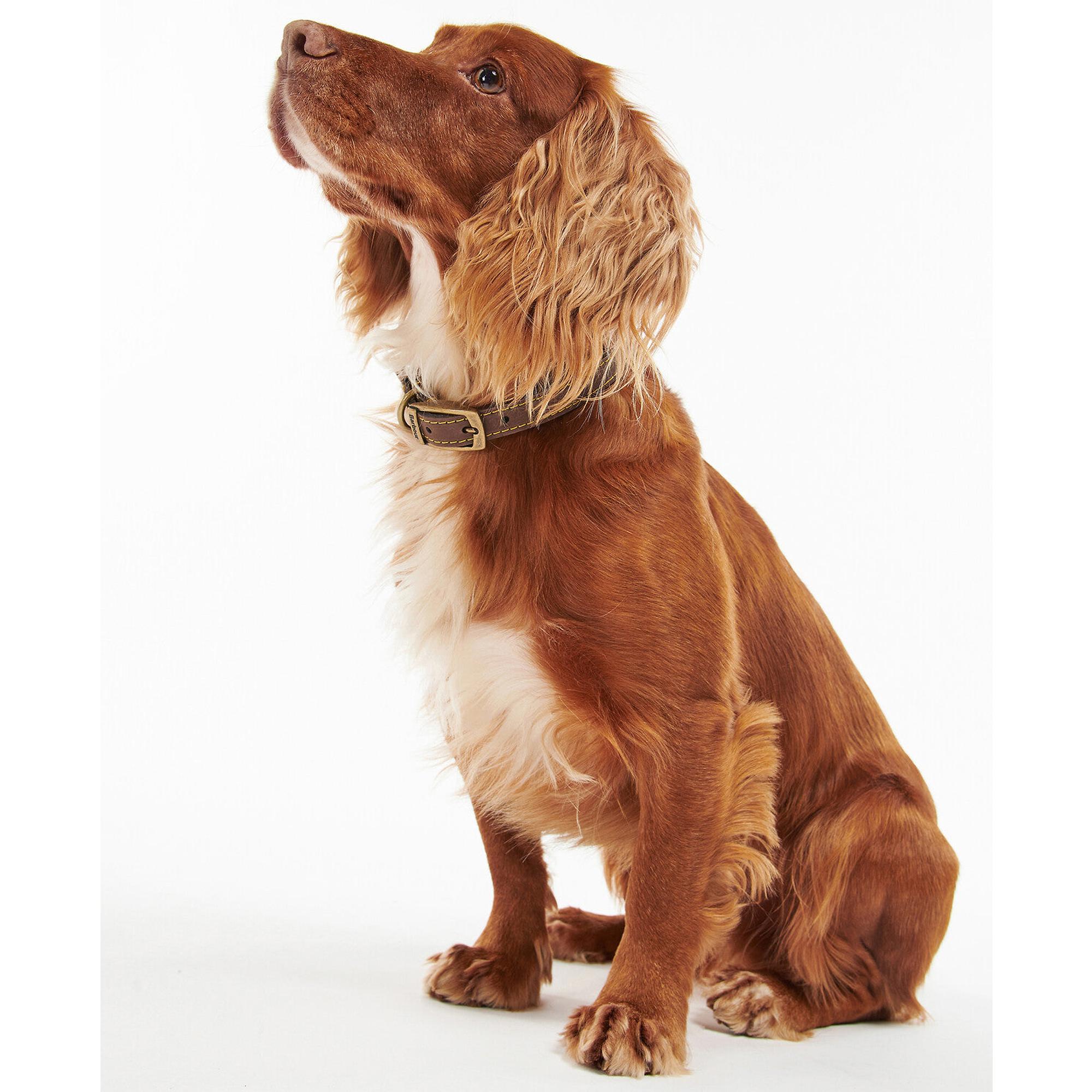 Product image 2 of 6 of Barbour Leather Dog Collar - Brown