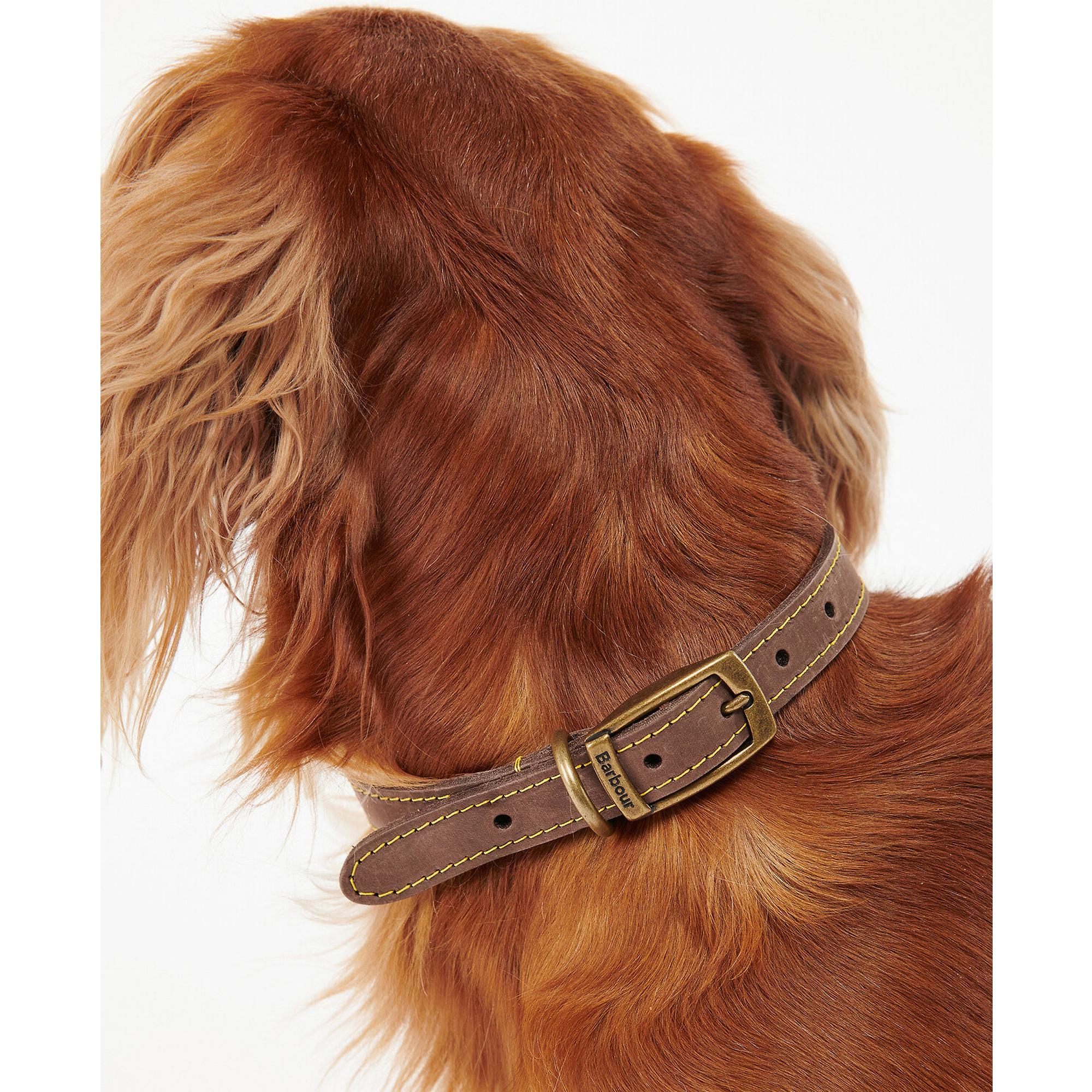 Product image 4 of 6 of Barbour Leather Dog Collar - Brown