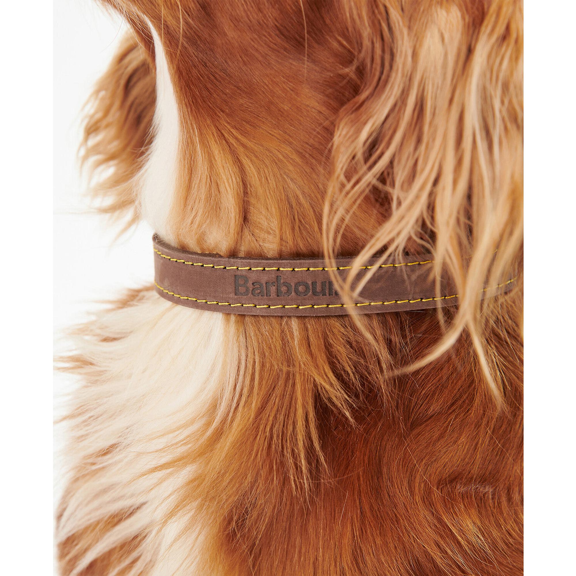 Product image 5 of 6 of Barbour Leather Dog Collar - Brown