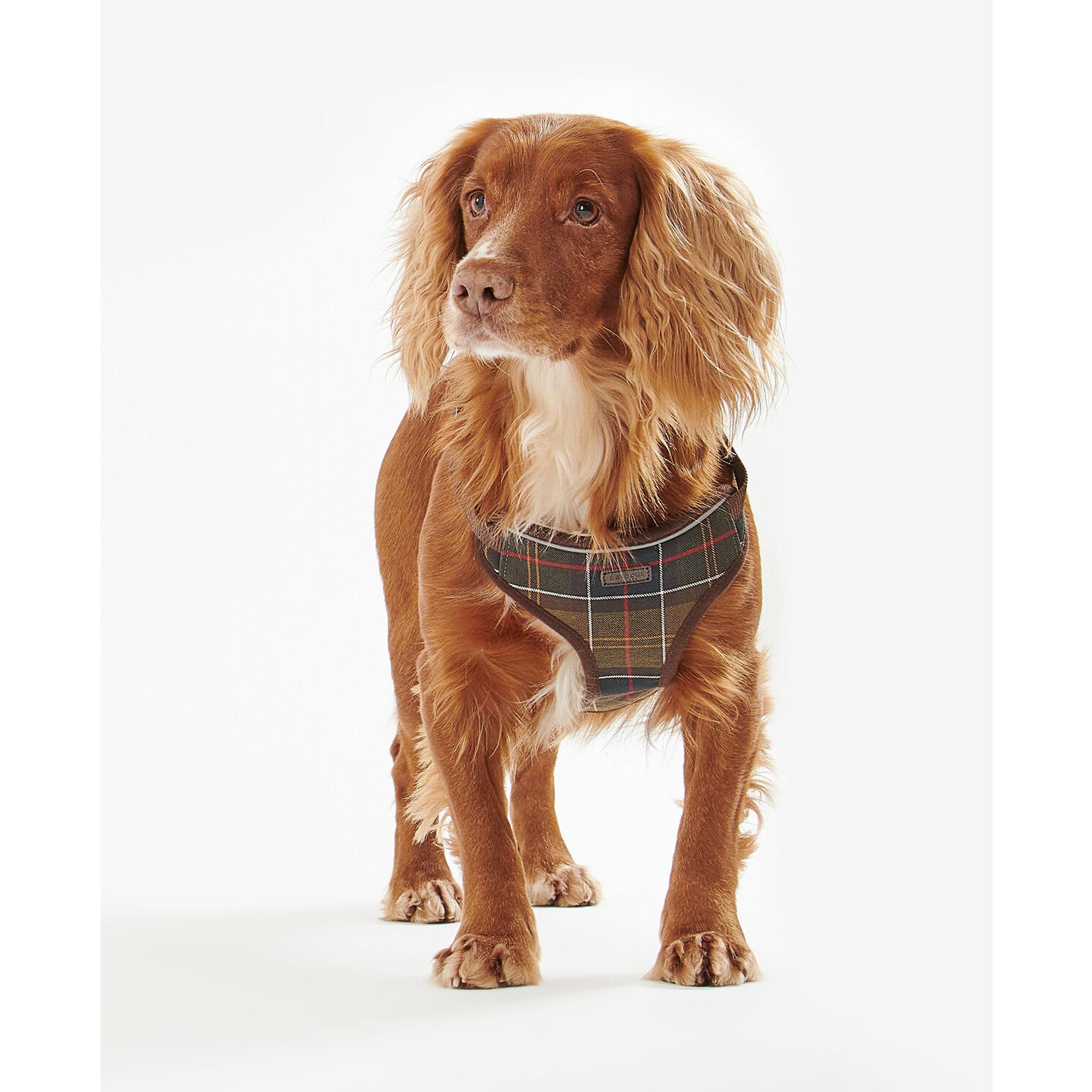 Product image 4 of 8 of Barbour Travel & Exercise Dog Harness - Classic Tartan