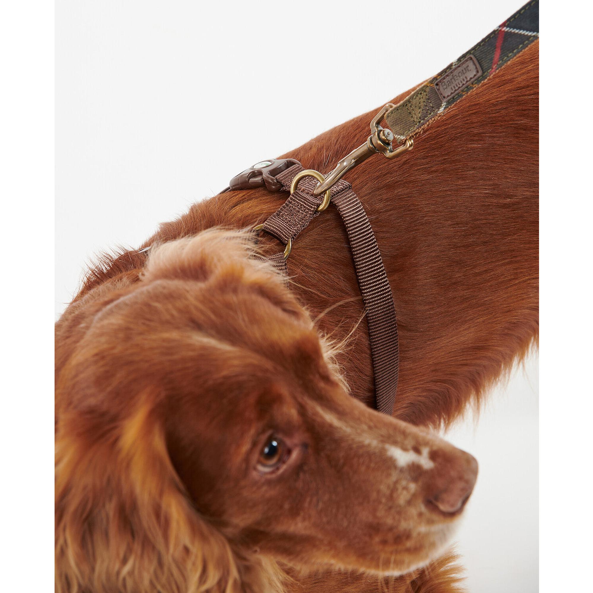 Product image 5 of 8 of Barbour Travel & Exercise Dog Harness - Classic Tartan
