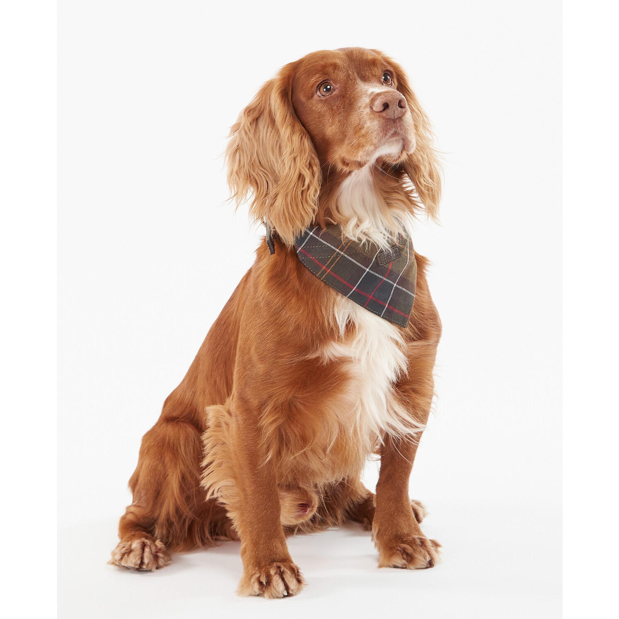 Product image 2 of 6 of Barbour Tartan Dog Bandana - Classic Tartan