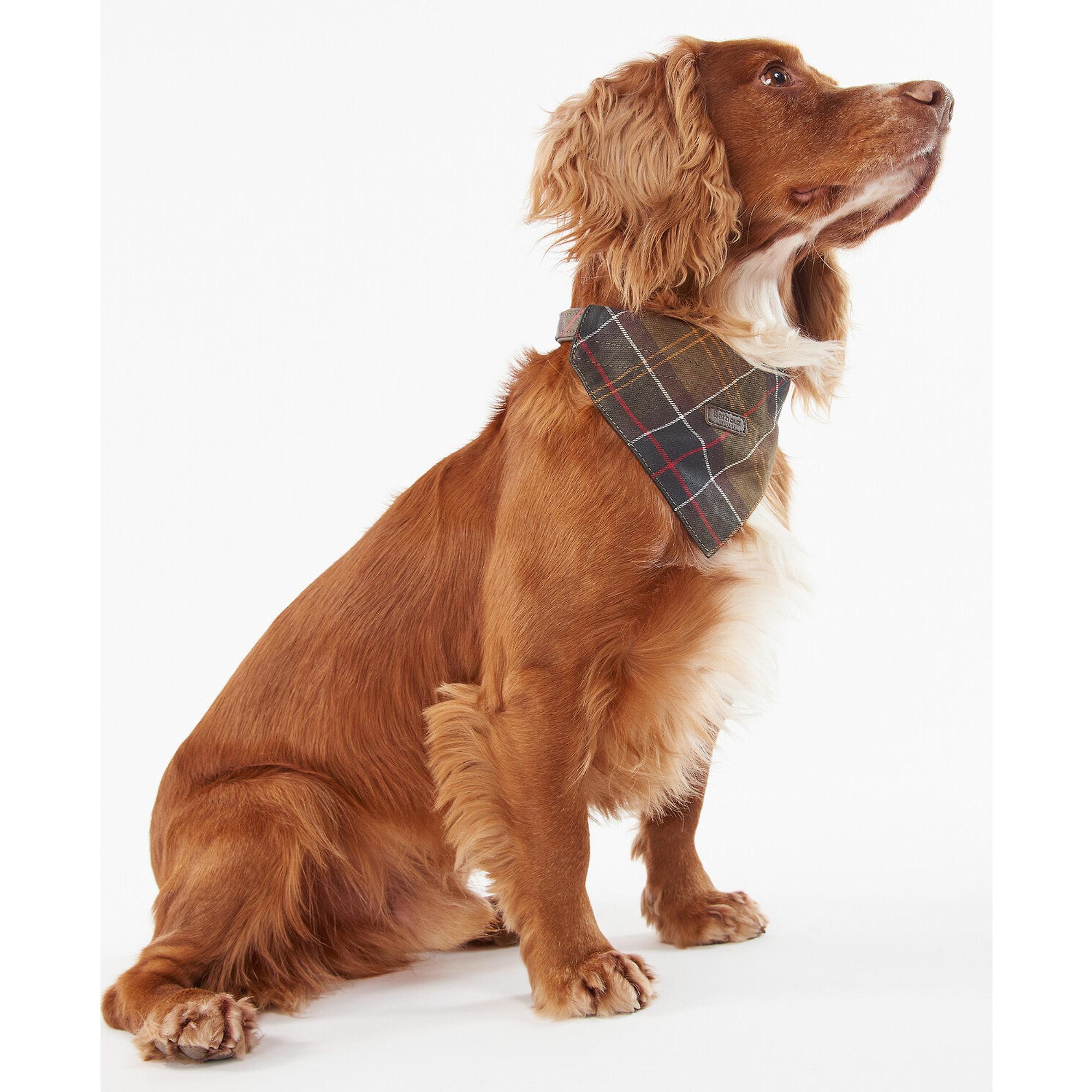 Product image 3 of 6 of Barbour Tartan Dog Bandana - Classic Tartan