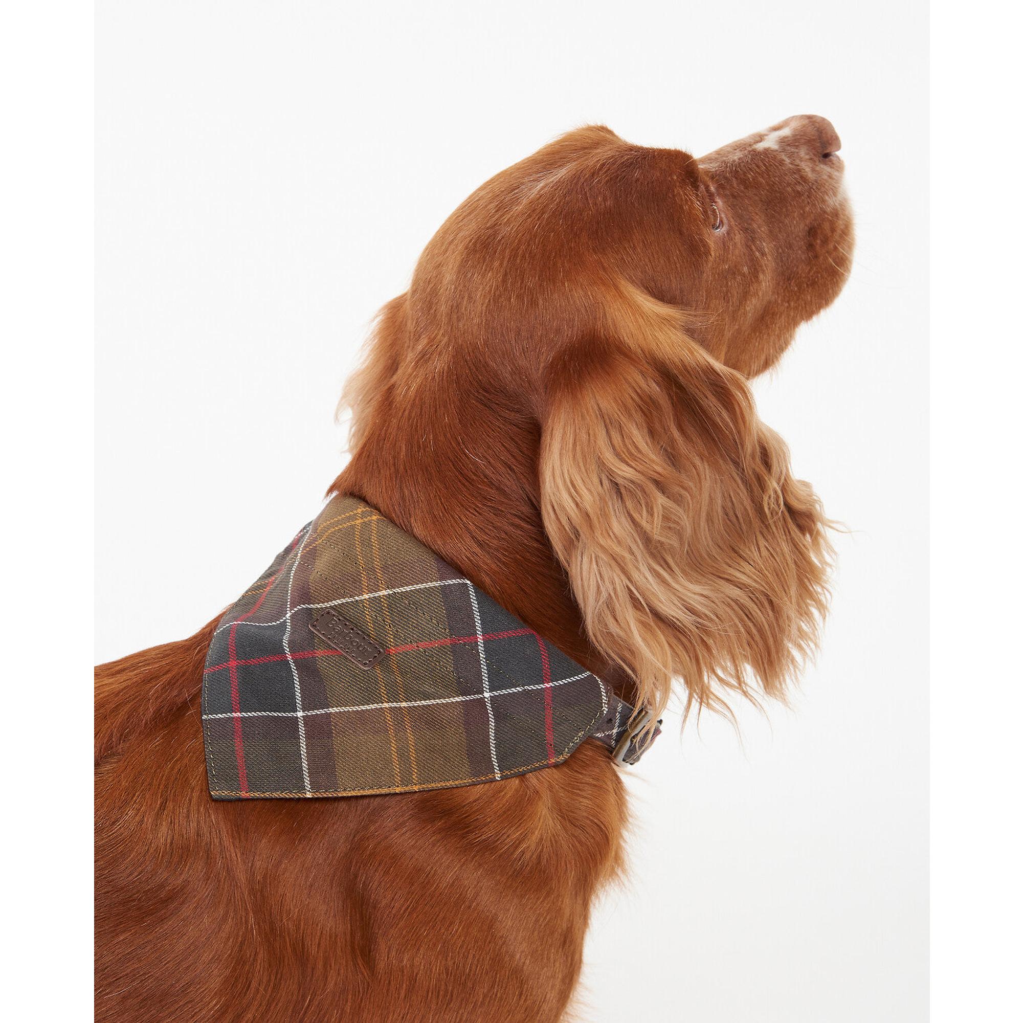 Product image 4 of 6 of Barbour Tartan Dog Bandana - Classic Tartan