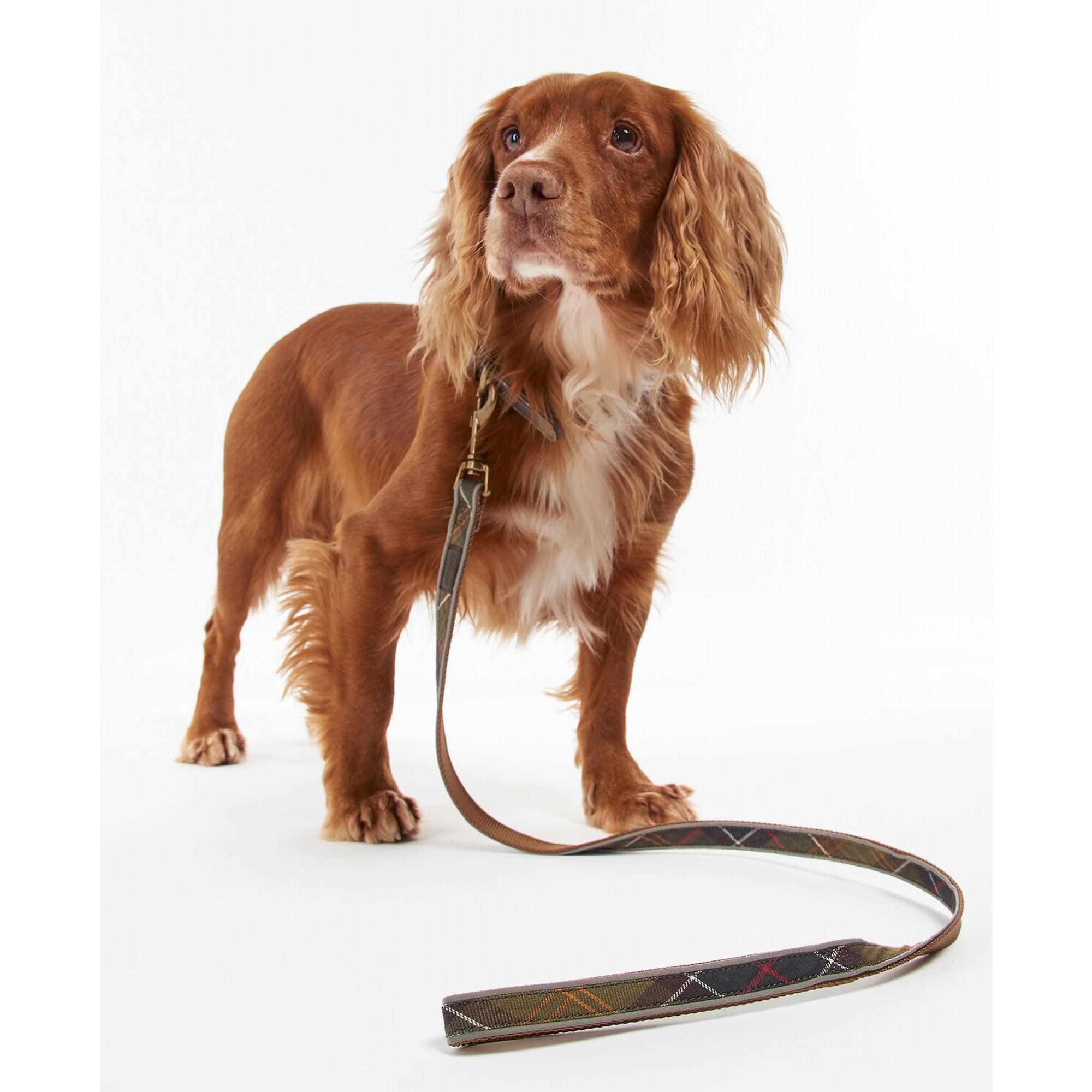Product image 2 of 7 of Barbour Reflective Tartan Dog Lead - Classic Tartan