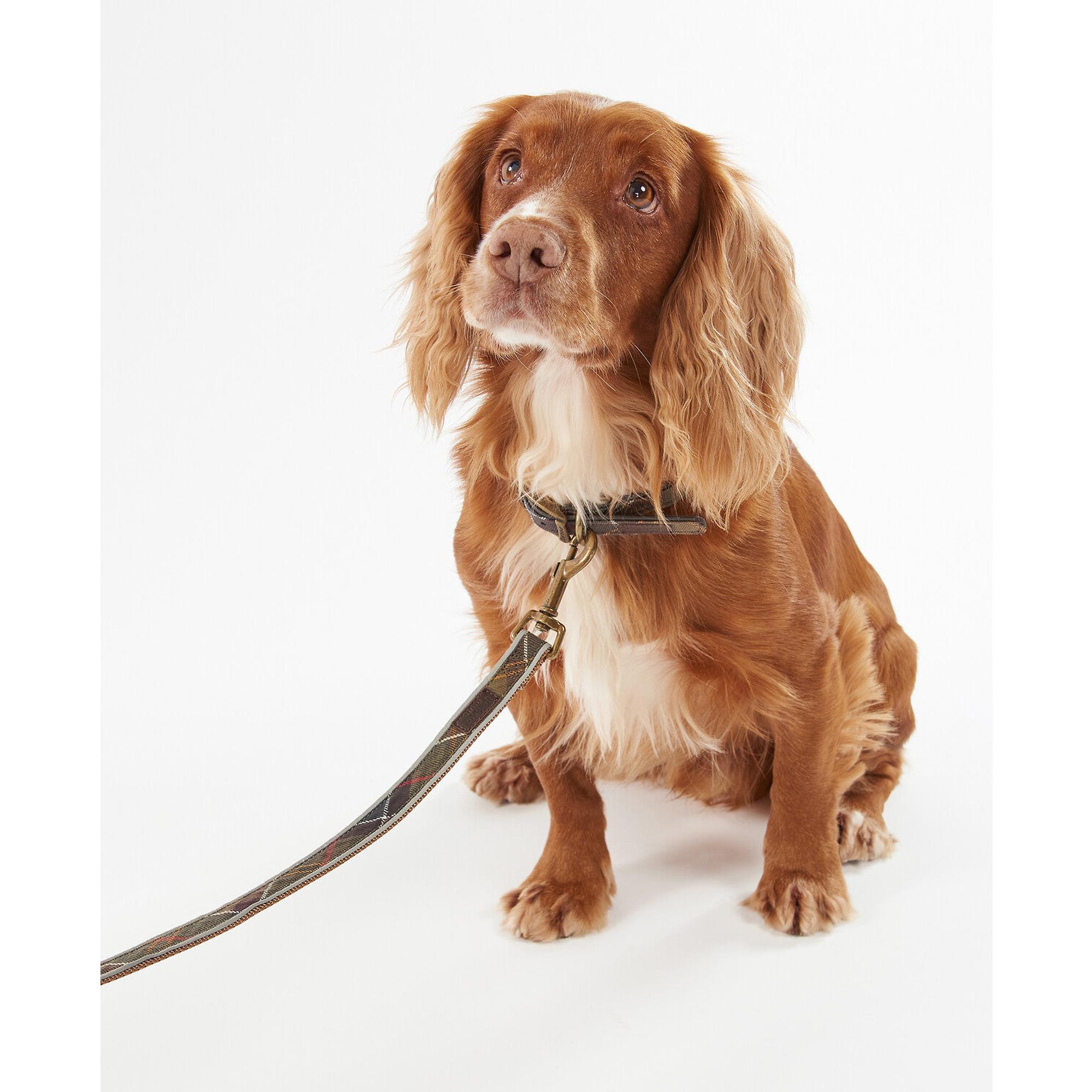 Product image 3 of 7 of Barbour Reflective Tartan Dog Lead - Classic Tartan