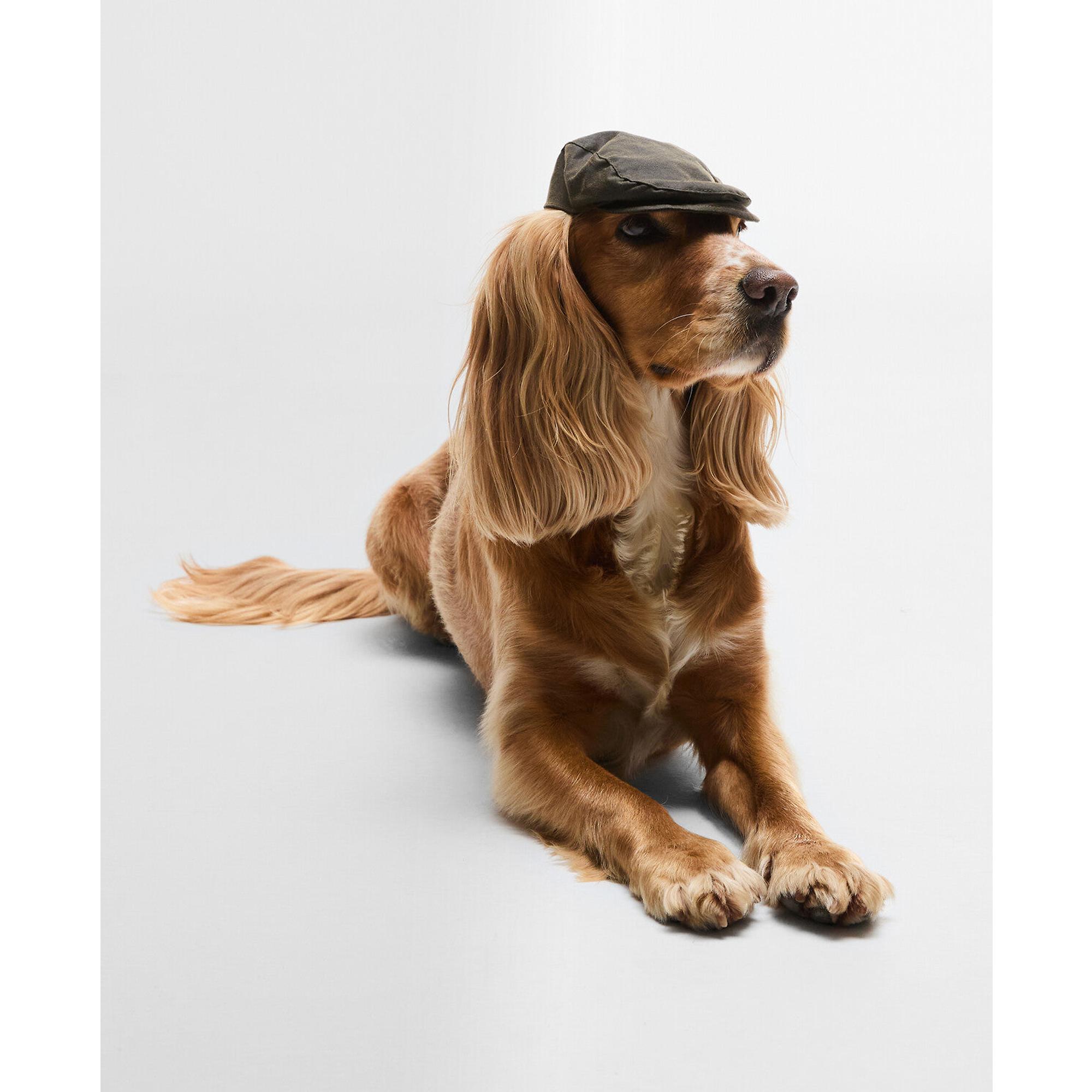 Product image 2 of 10 of Barbour Dog Wax Flat Cap - Olive