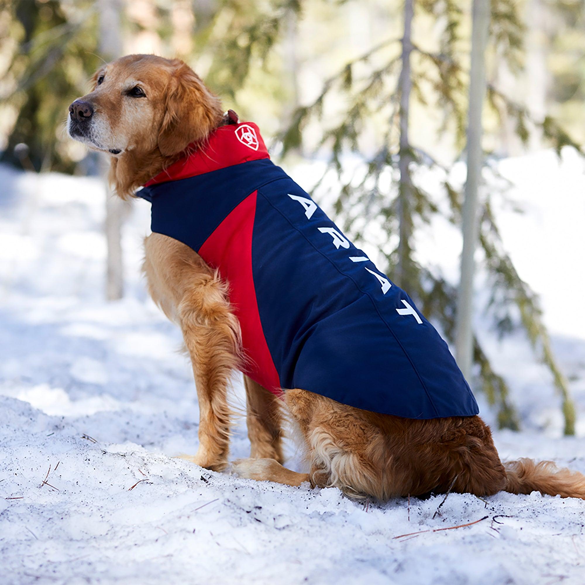 Product image 3 of 3 of Ariat Team Softshell Dog Jacket - Navy