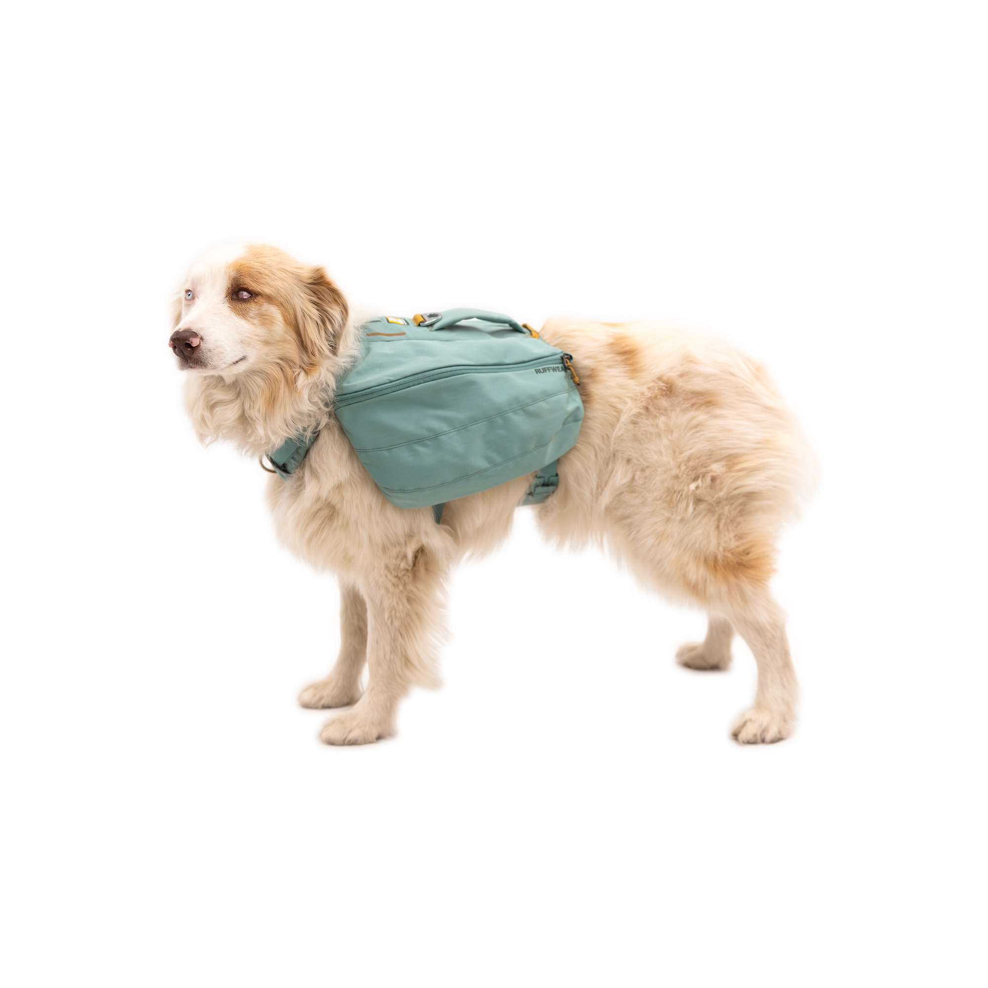 Product image 6 of 12 of RUFFWEAR Front Range Day Pack - River Rock Green