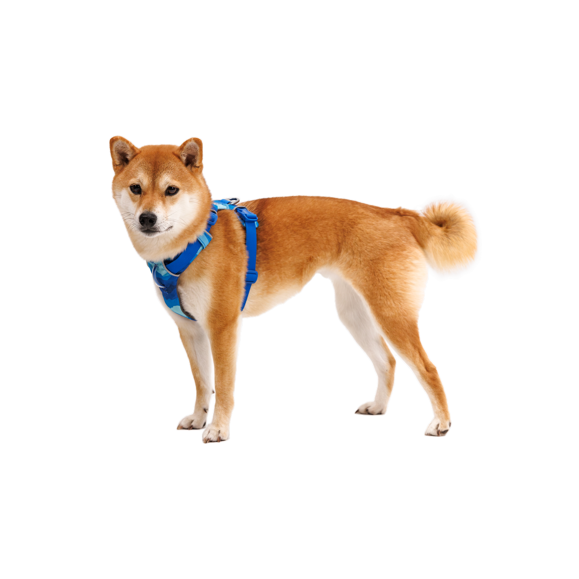 Product image 8 of 14 of RUFFWEAR Front Range Dog Harness - Coastal Mountains