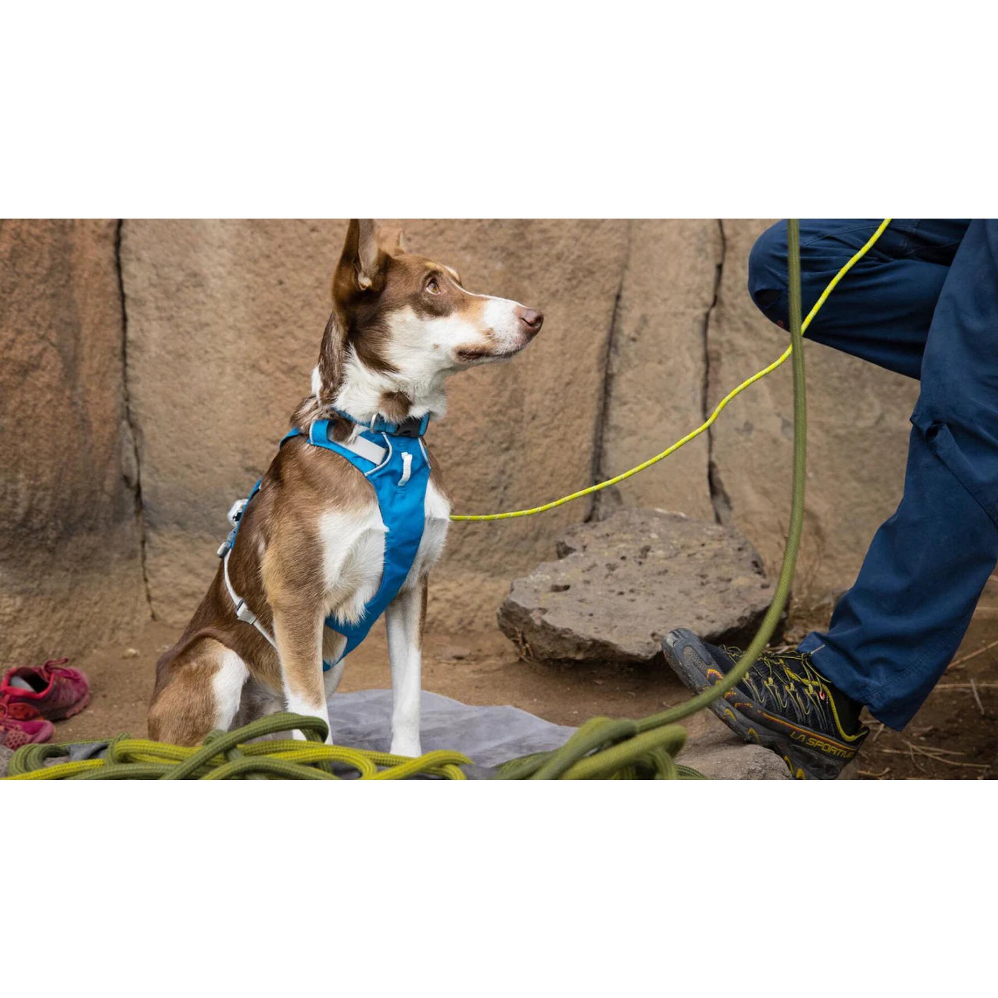 Product image 9 of 17 of RUFFWEAR Flagline Dog Harness - Basalt Grey