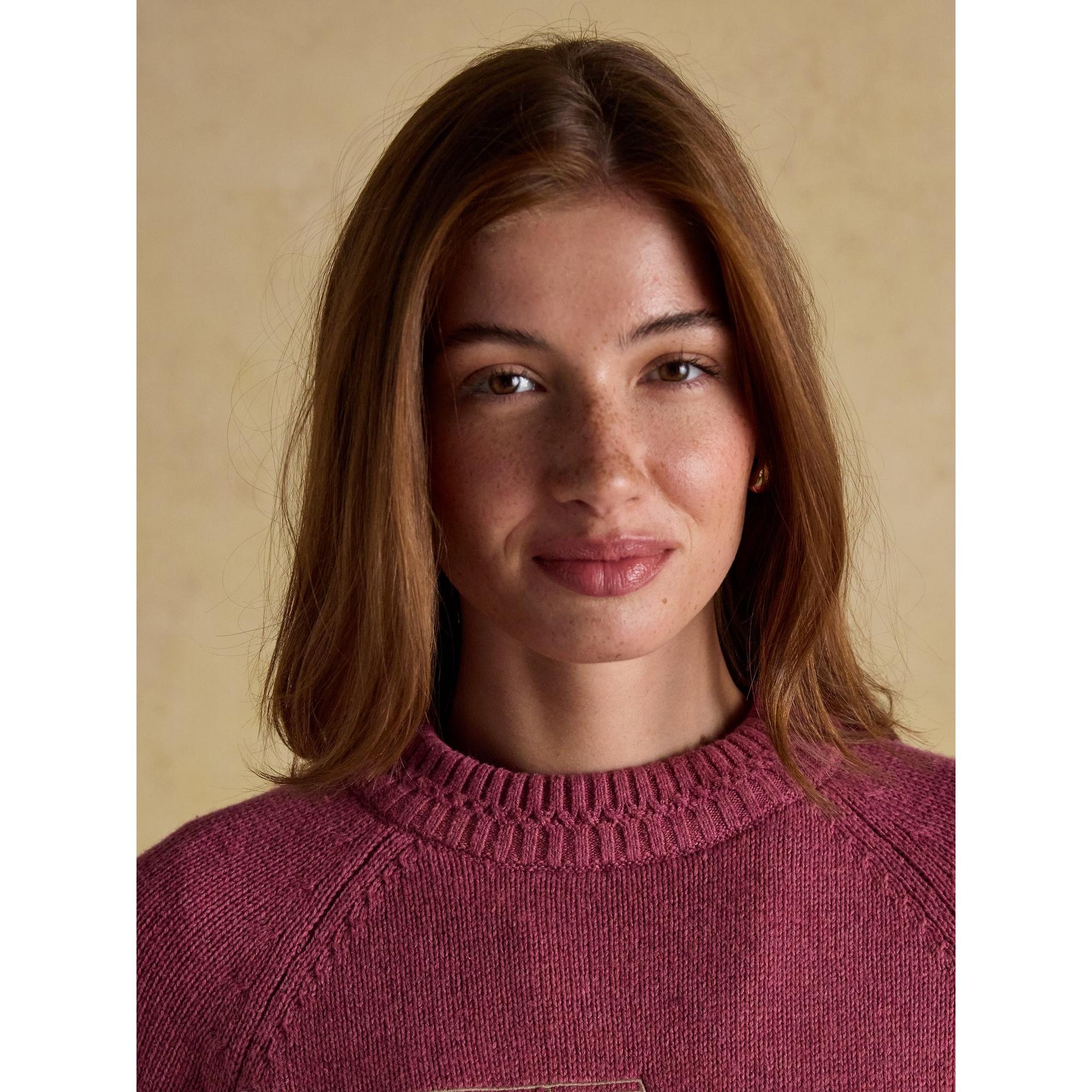 Product image 6 of 9 of Joules Women's Rutland 4x4 Knitted Intarsia Jumper - Pink